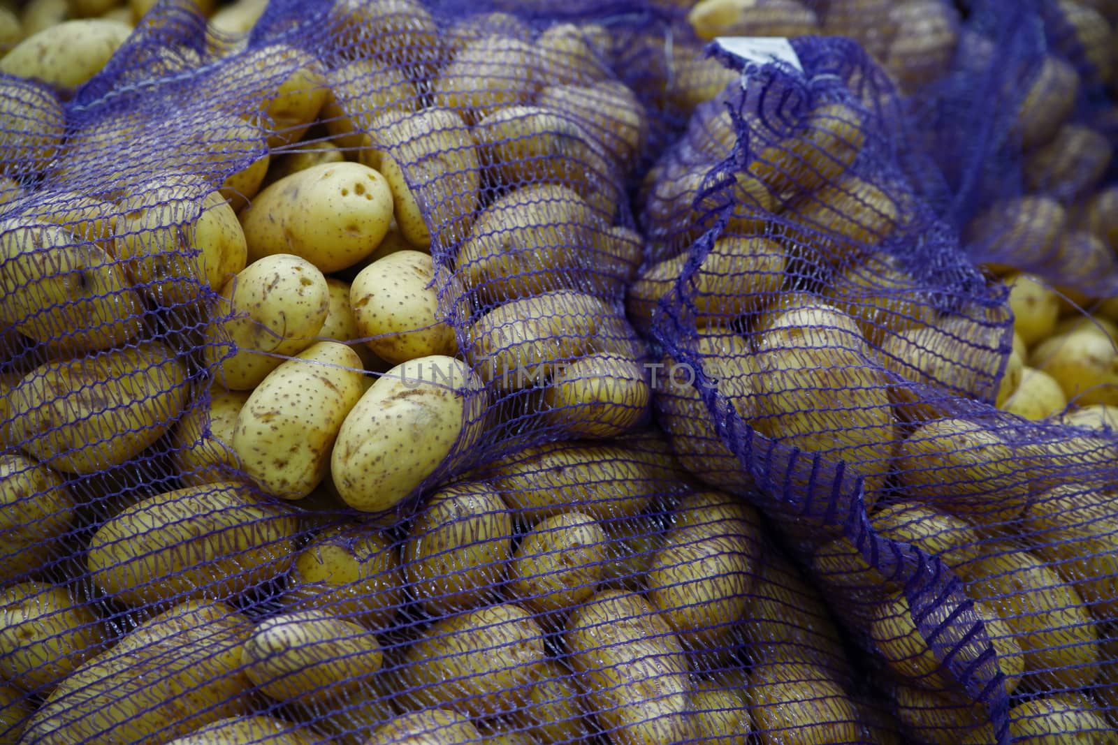Seasonal vegetables are stacked in boxes at the grocery store. Large fresh potatoes are in special mesh bags. Natural products for cooking healthy food.