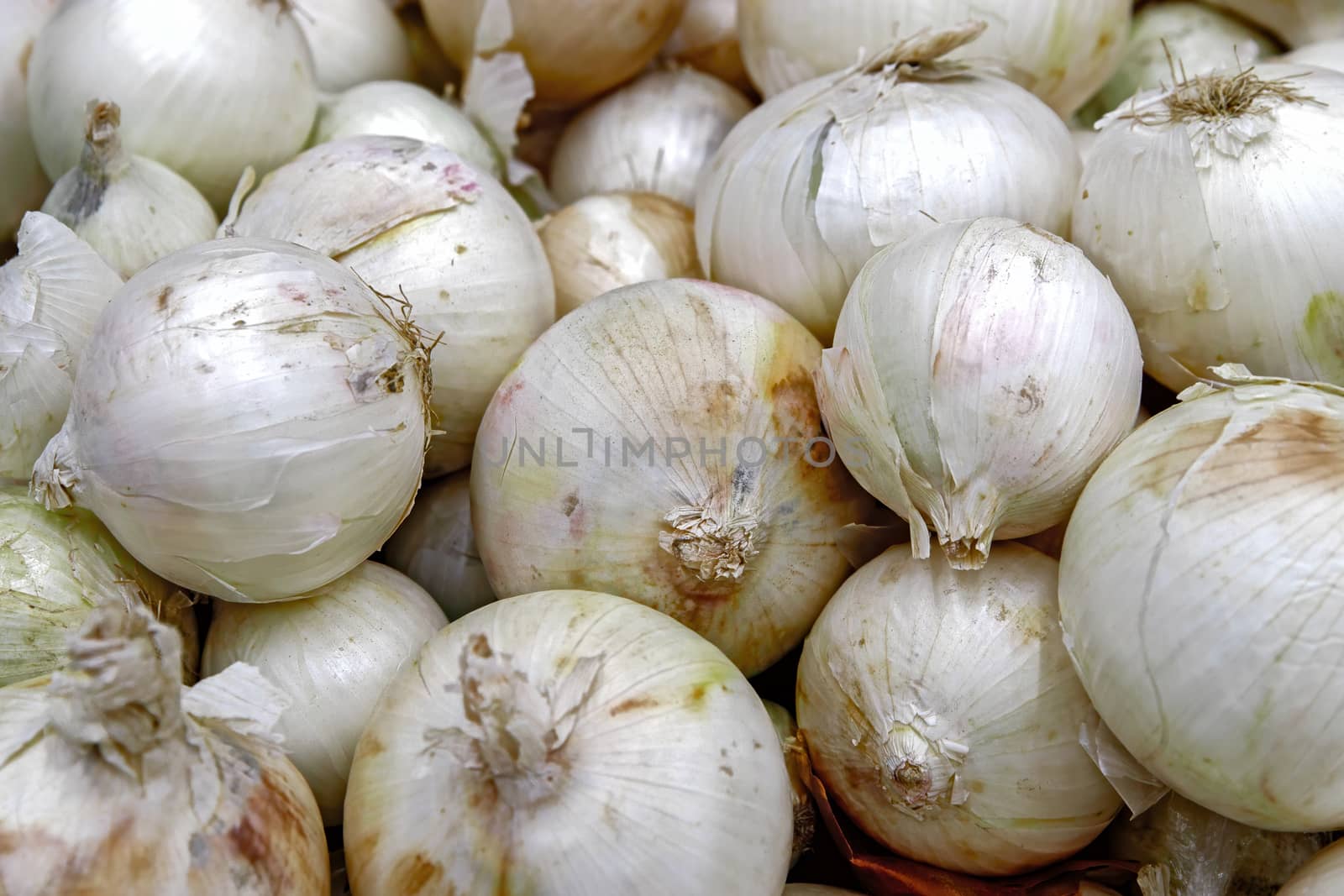 Seasonal vegetables are stacked in boxes at the grocery store. White onions shot close-up. Natural products for cooking healthy food.