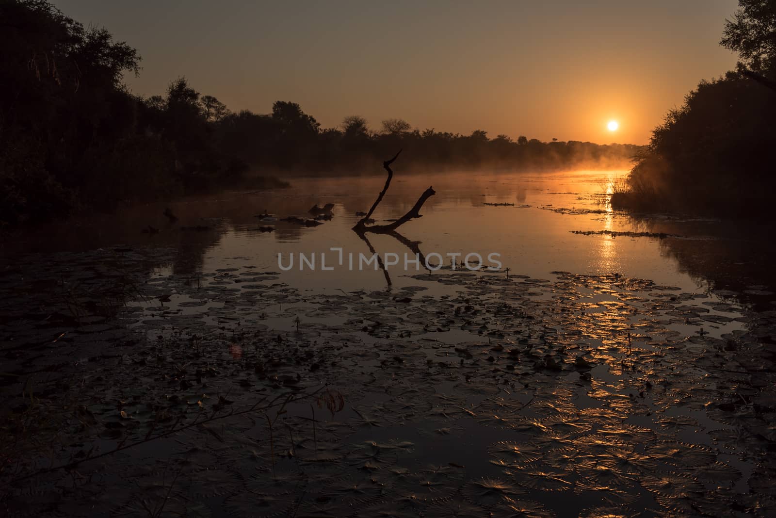 Sunrise at Lake Panic by dpreezg