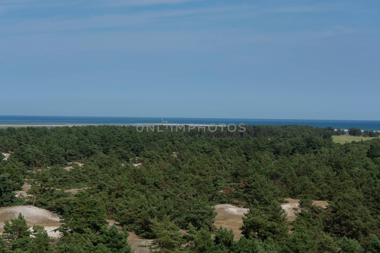 Prerow on the Darss, Vorpommersche Boddenlandschaft National Park, Germany