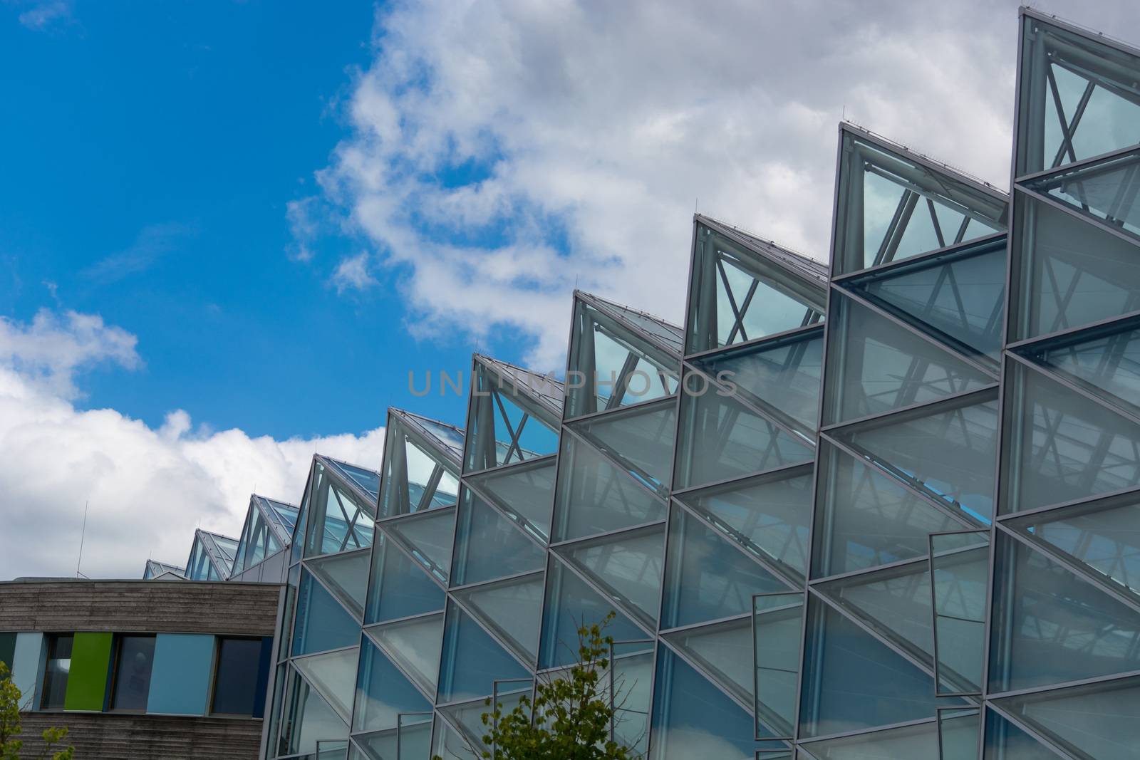 Environment, glass facade and entrance area of the Federal Environmental Agency in Dessau