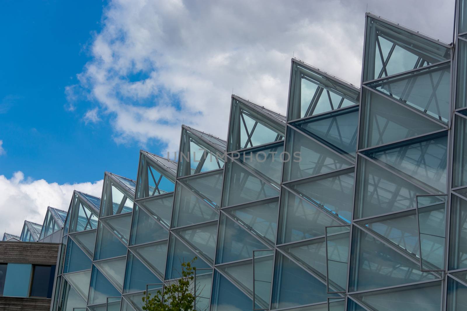 Environment, glass facade and entrance area of the Federal Environmental Agency in Dessau