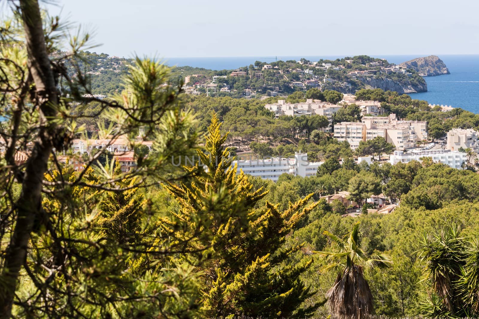 Panorama of the bay Paguera photographed from the mountain in Costa de la Calma.