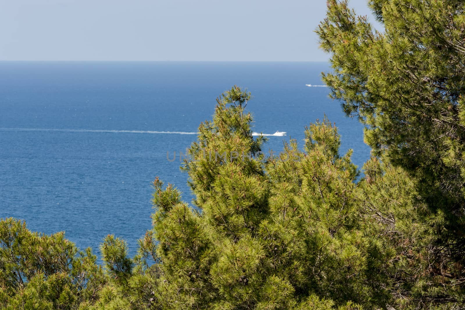 Panorama of the bay Paguera photographed from the mountain in Costa de la Calma.