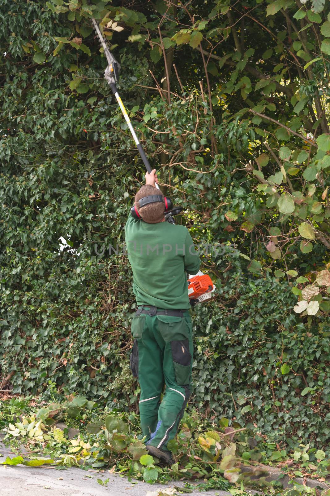 Panoramic image from cutting a hedge      by JFsPic