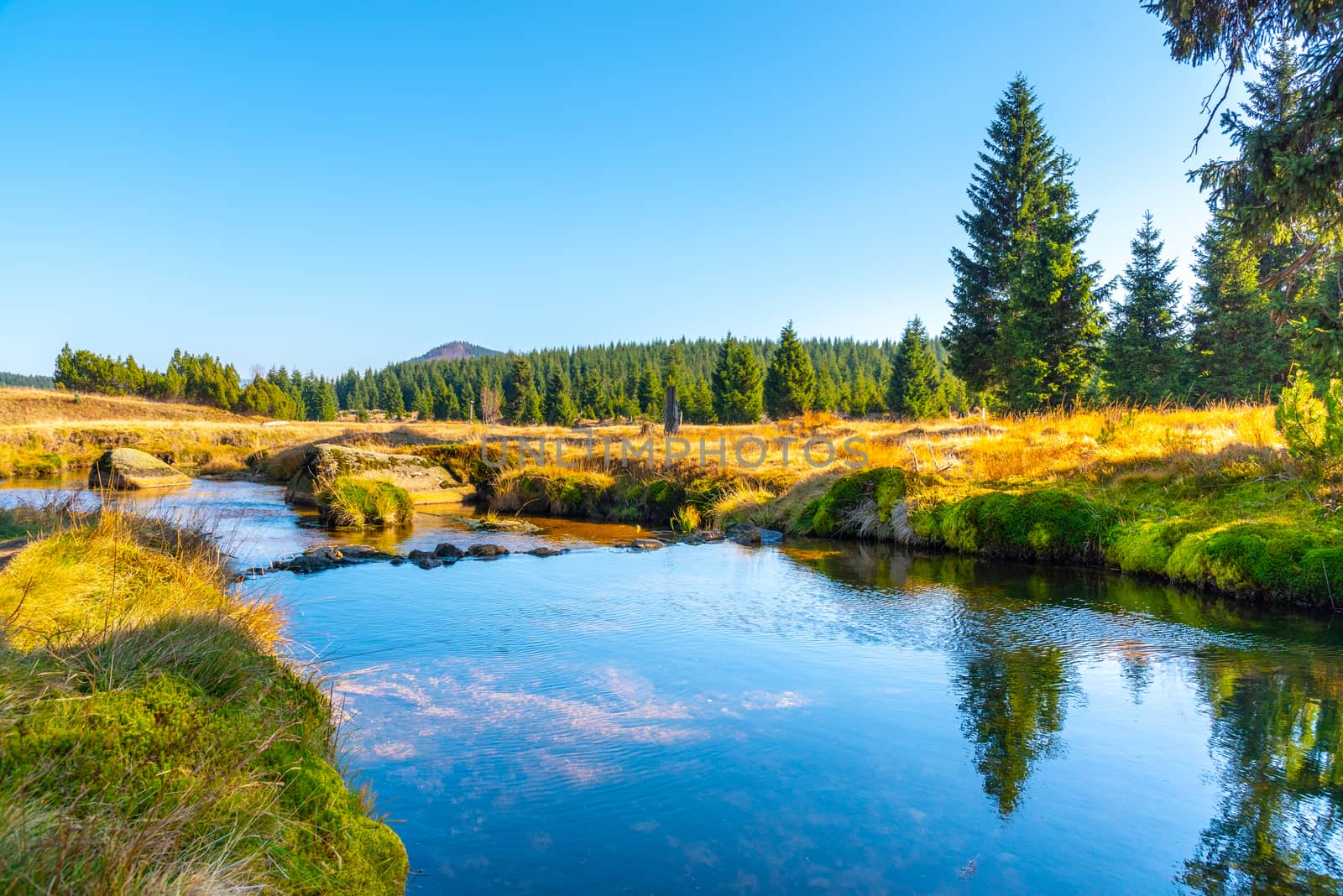 Small mountain creek meandering in the middle of meadows and forest. Sunny day with blue sky and white clouds in Jizera Mountains, Northern Bohemia, Czech Republic. by pyty