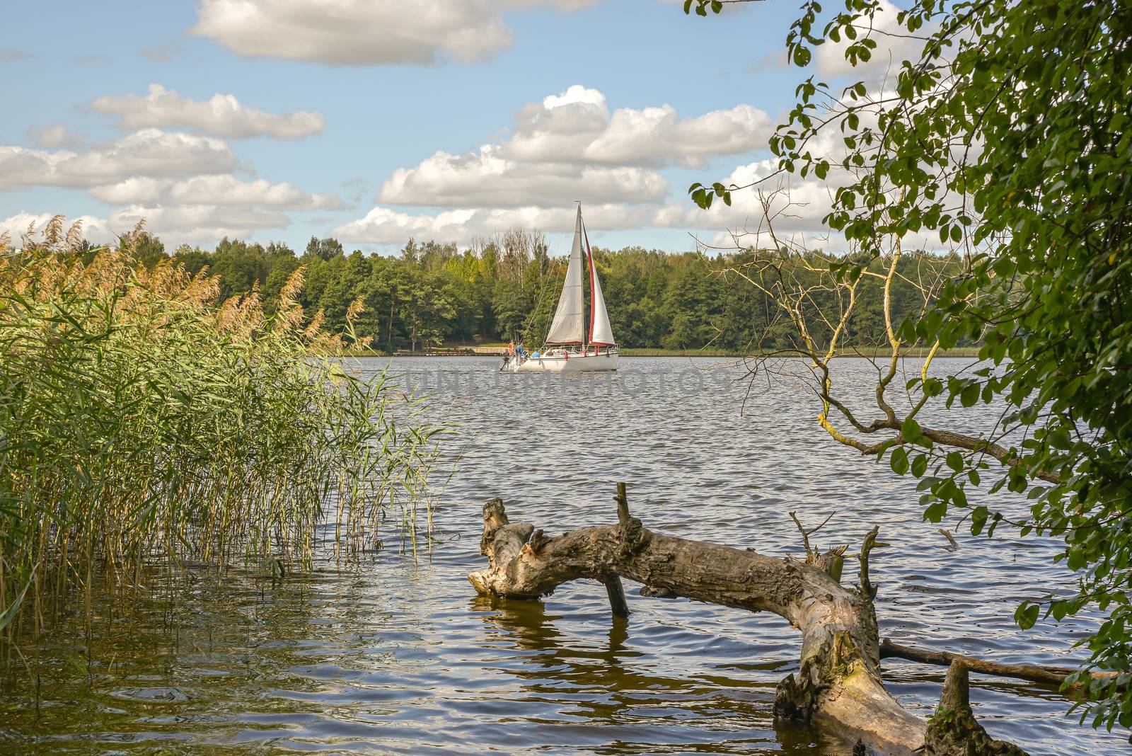 Landscape of lake with white yacht on bright sunny summer day.