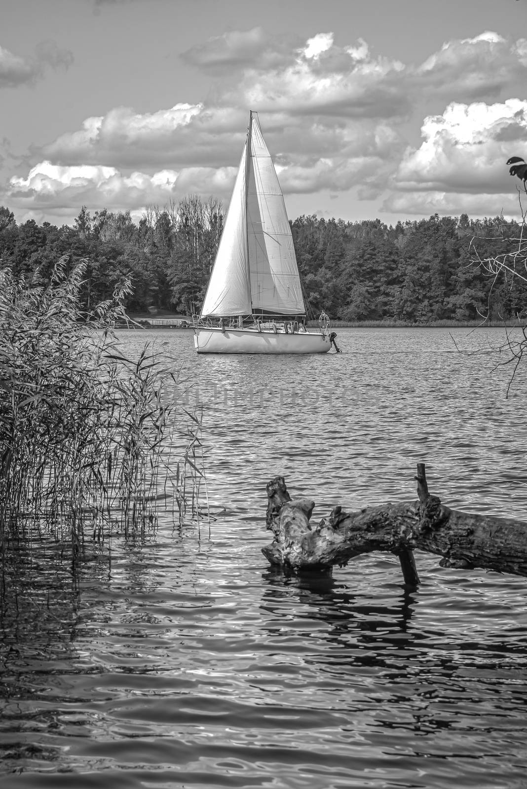 Landscape of lake with white yacht on bright sunny summer day. B&W