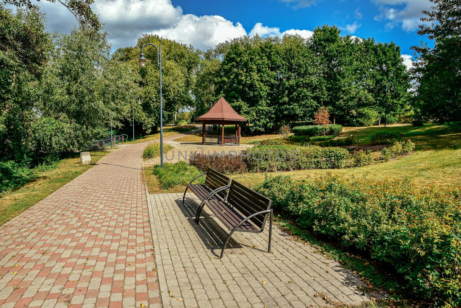 Summer scene, an avenue lined with trees in park in Ilawa  Poland