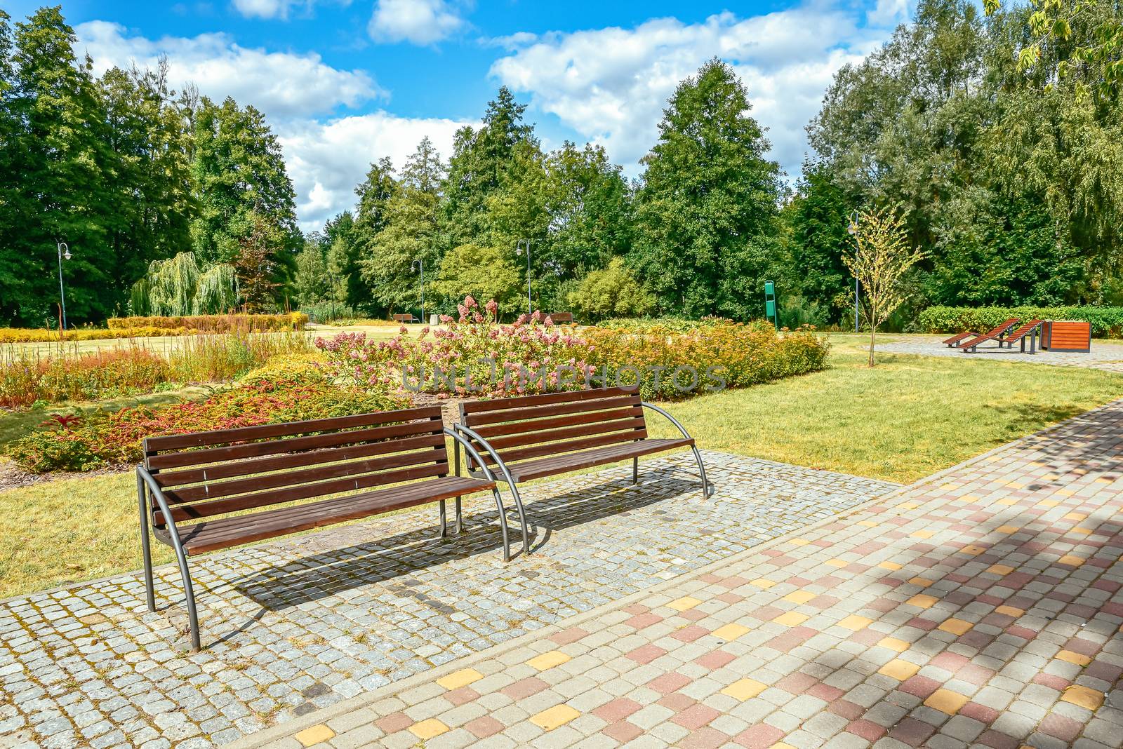 Summer scene, an avenue lined with trees in park in Ilawa  Poland