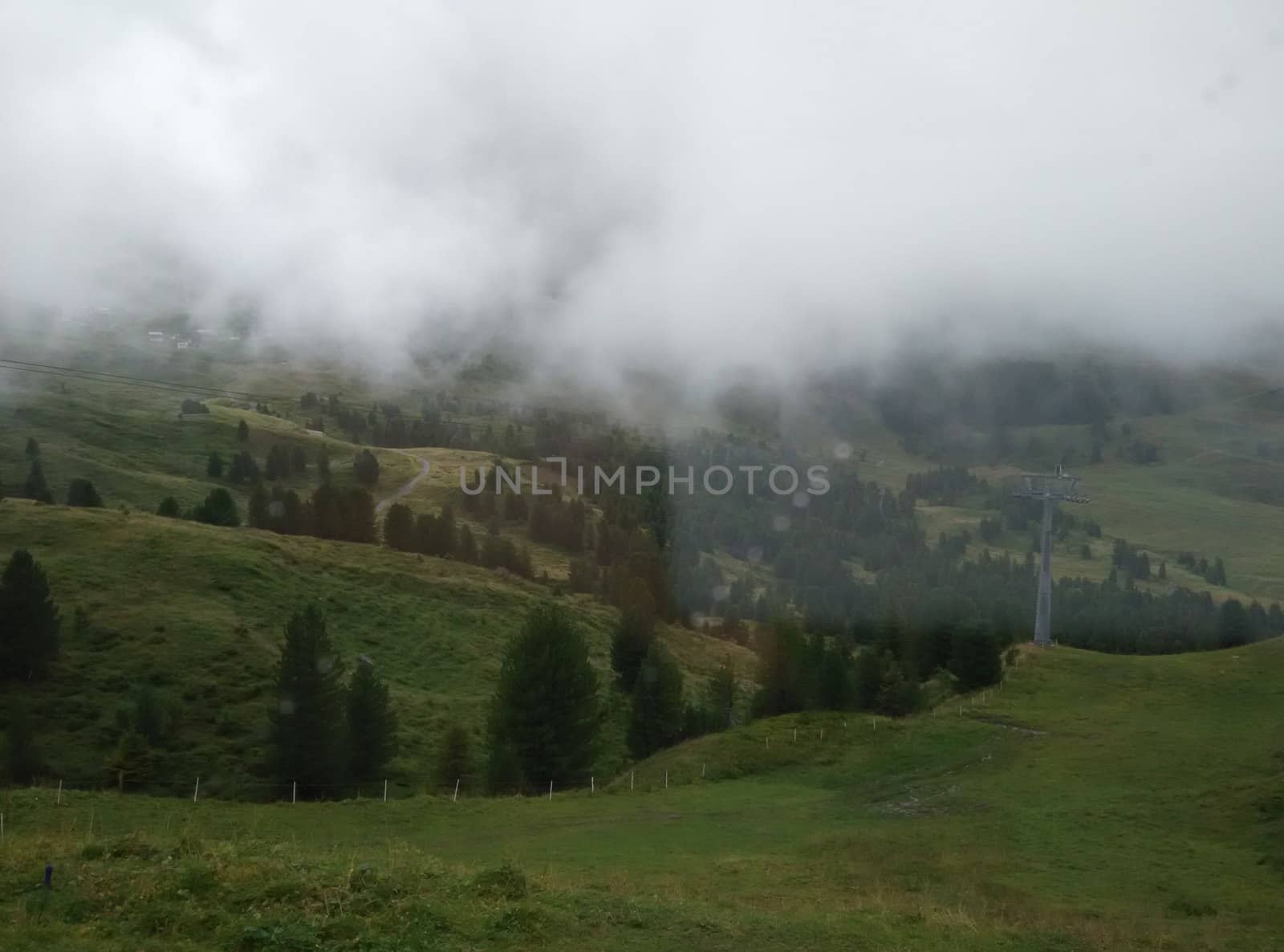 a wayside meadow on a road trip