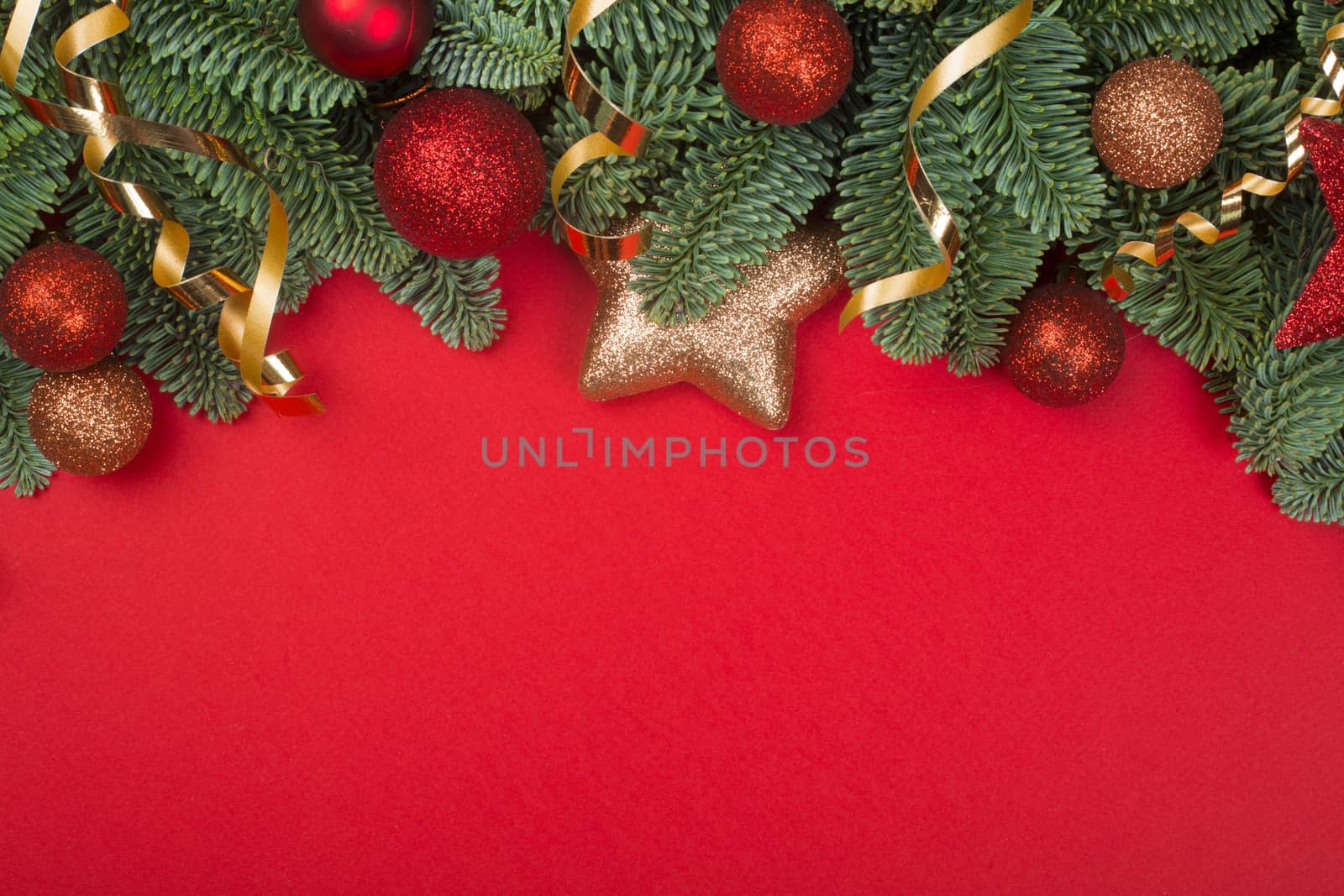 Christmas fir tree on red by destillat