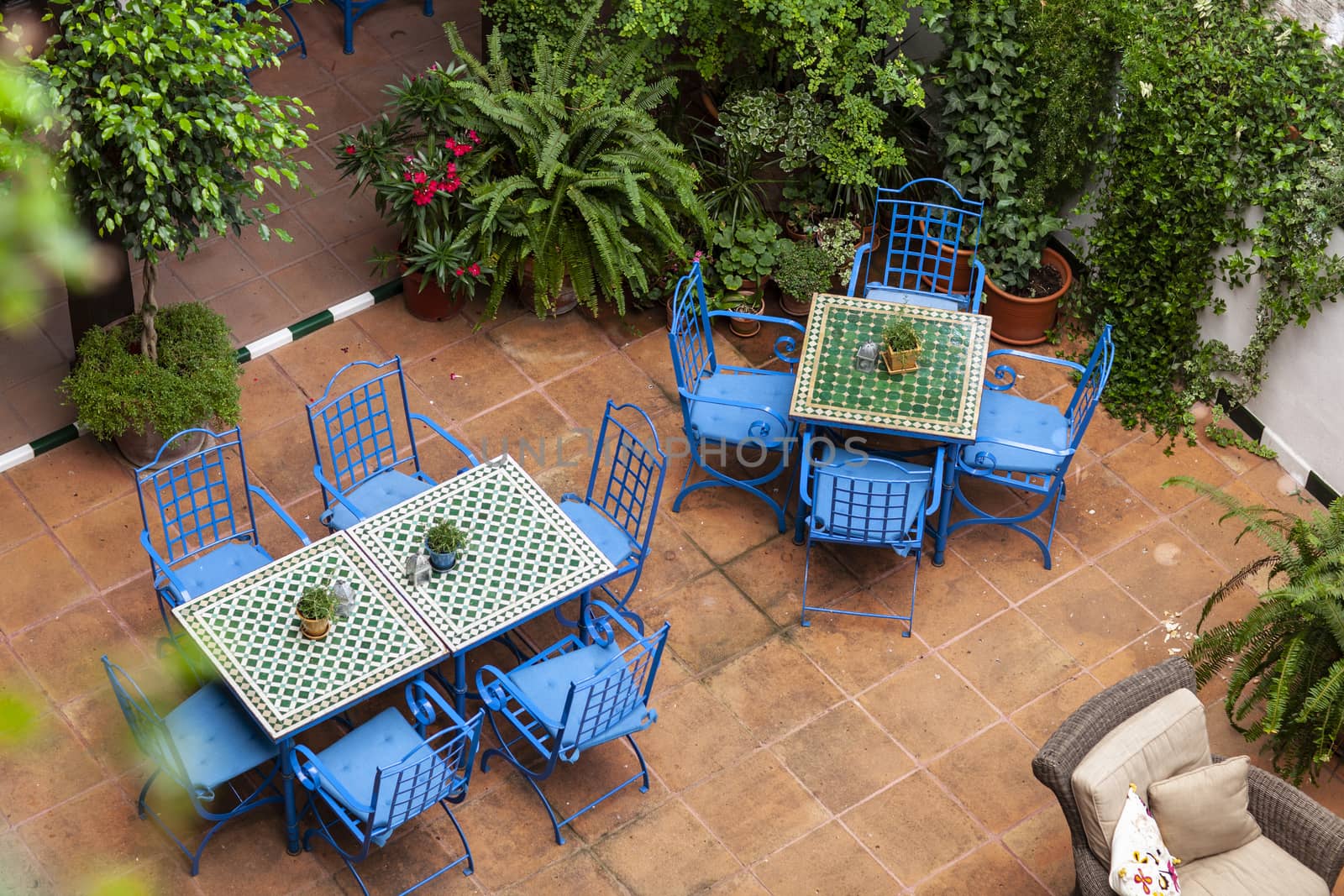 Colorful patio design with blue chairs and green plants