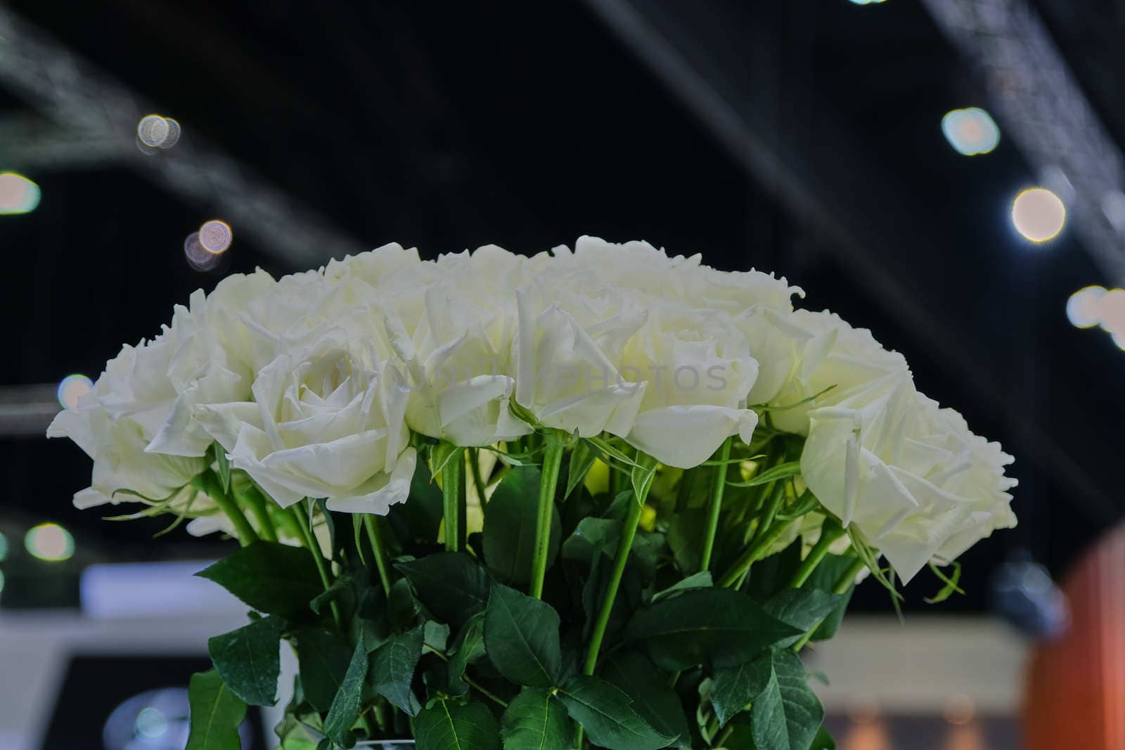 Wedding bouquet of White Rose. Closeup of Wedding bouquet of White Rose by peerapixs