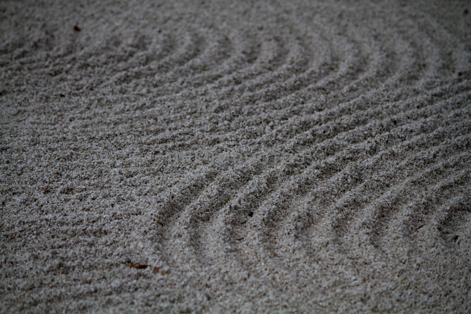 very beautiful Zen garden at the Botanical Garden of Geneva in Switzerland by mariephotos