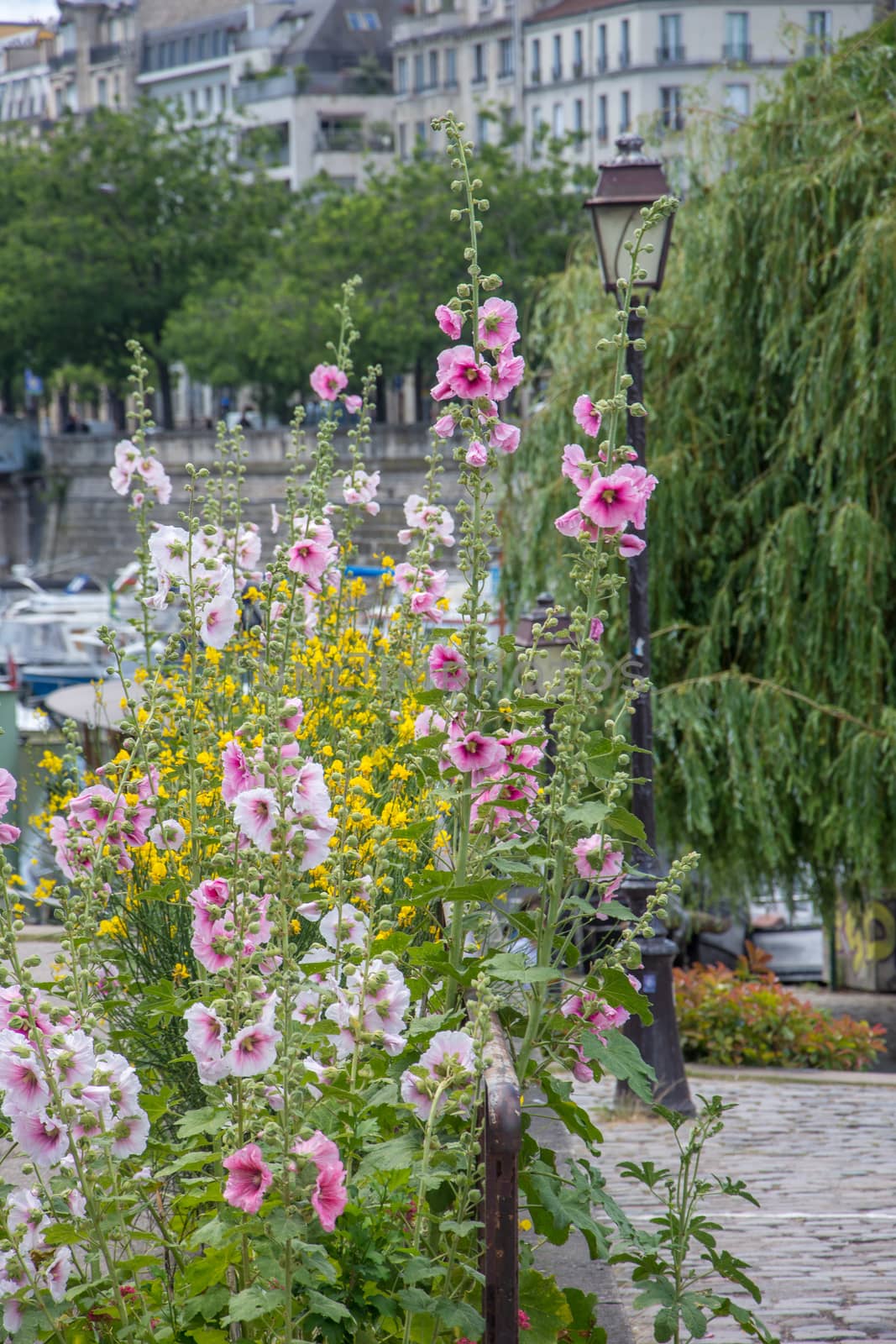 discovery of Paris and the banks of the Seine in summer, France