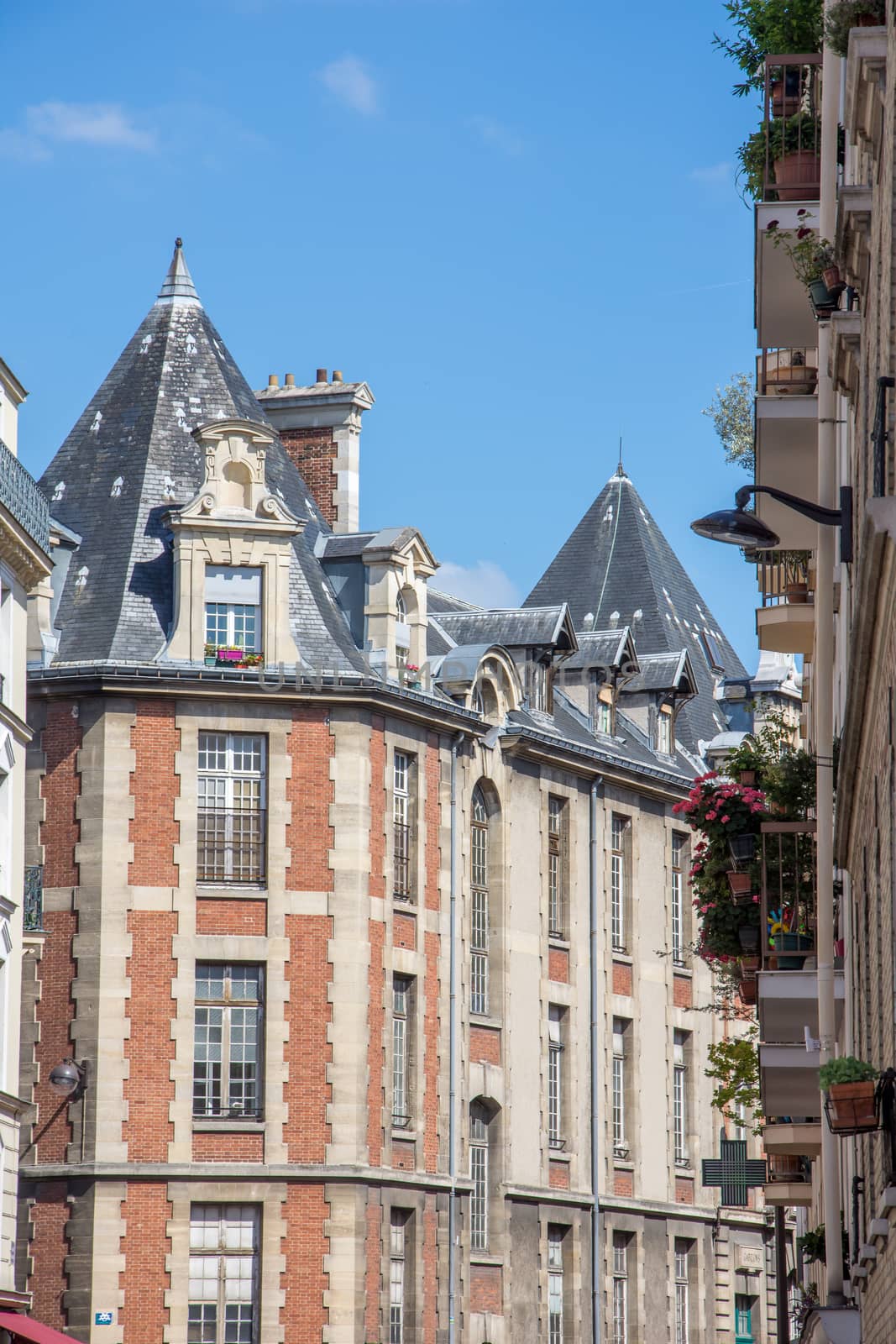 discovery of Paris and the banks of the Seine in summer, France
