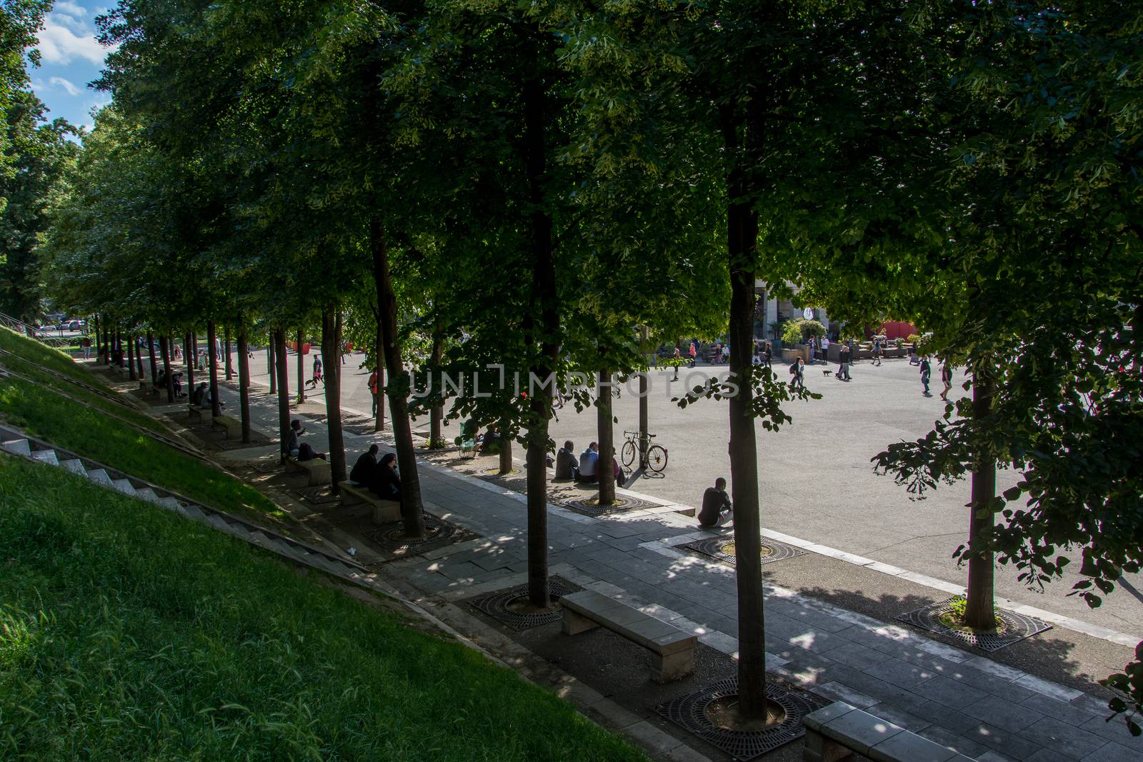 discovery of Paris and the banks of the Seine in summer, France