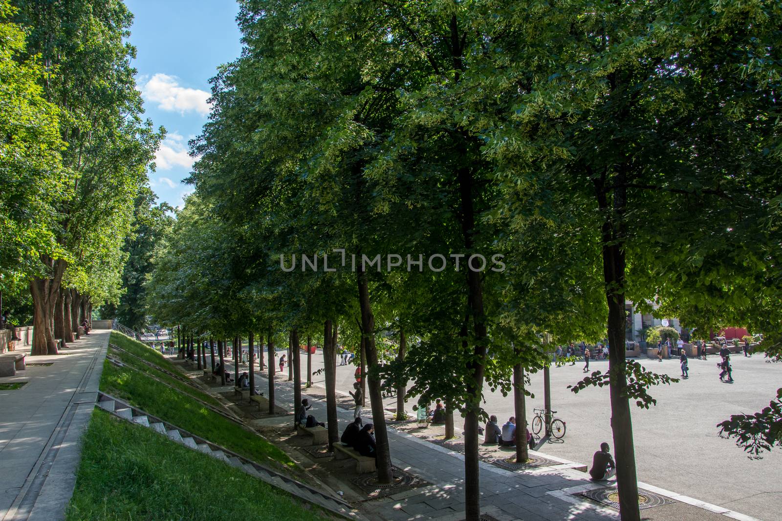 discovery of Paris and the banks of the Seine in summer, France