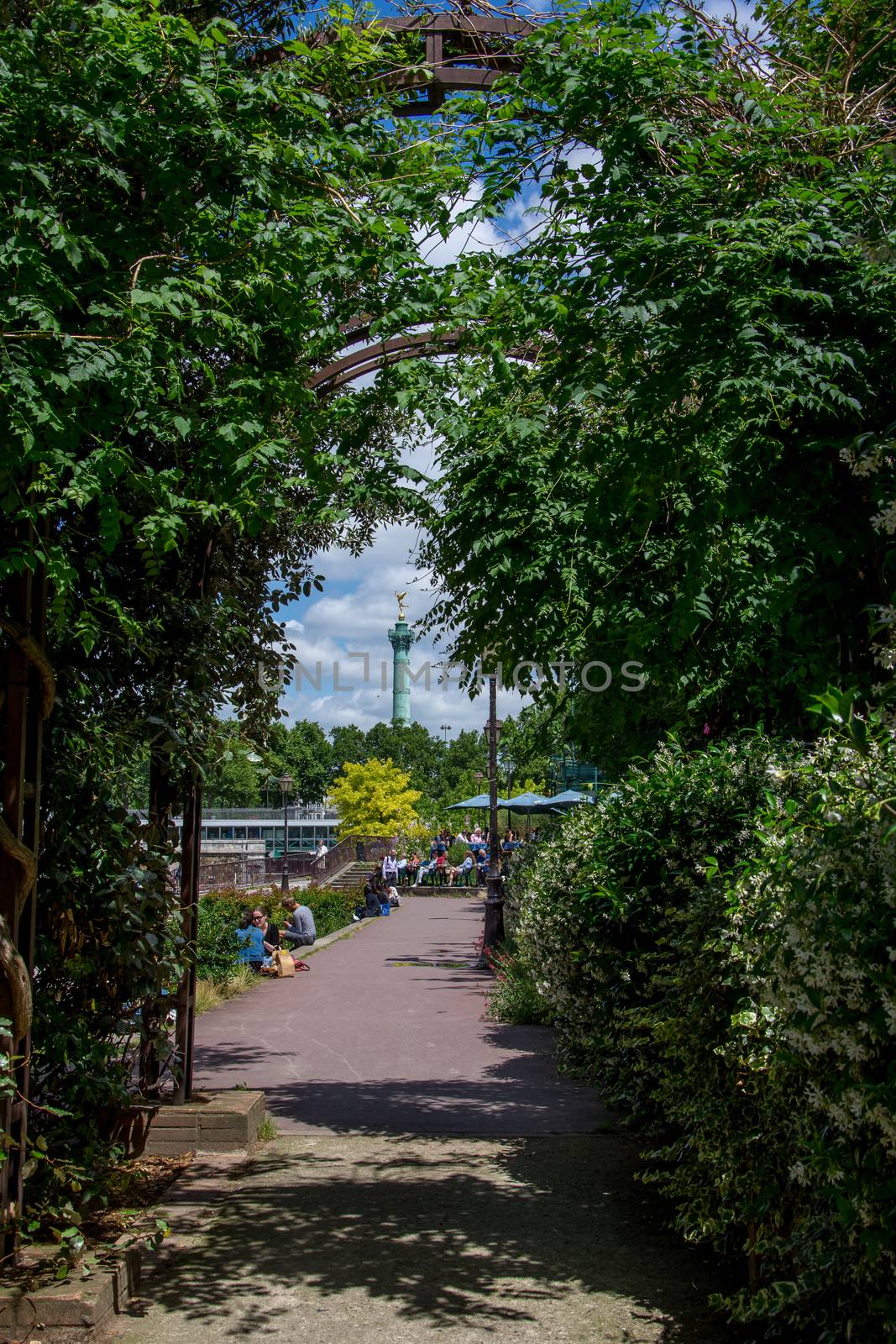 discovery of Paris and the banks of the Seine in summer, France