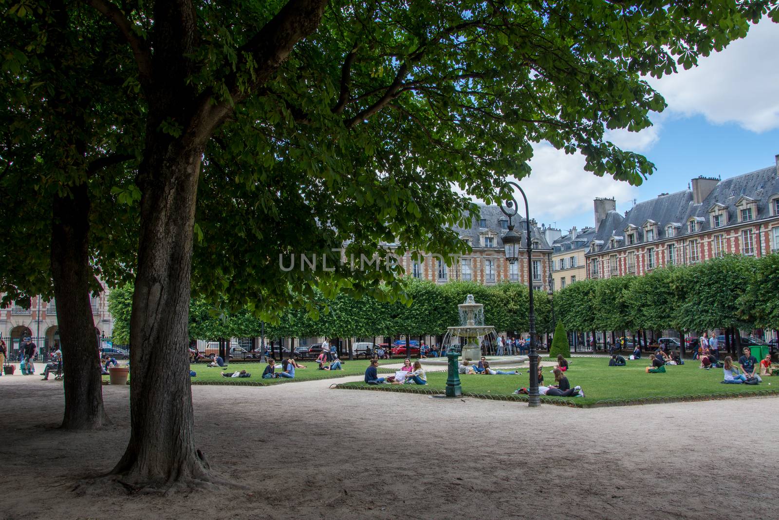 discovery of Paris and the banks of the Seine in summer, France