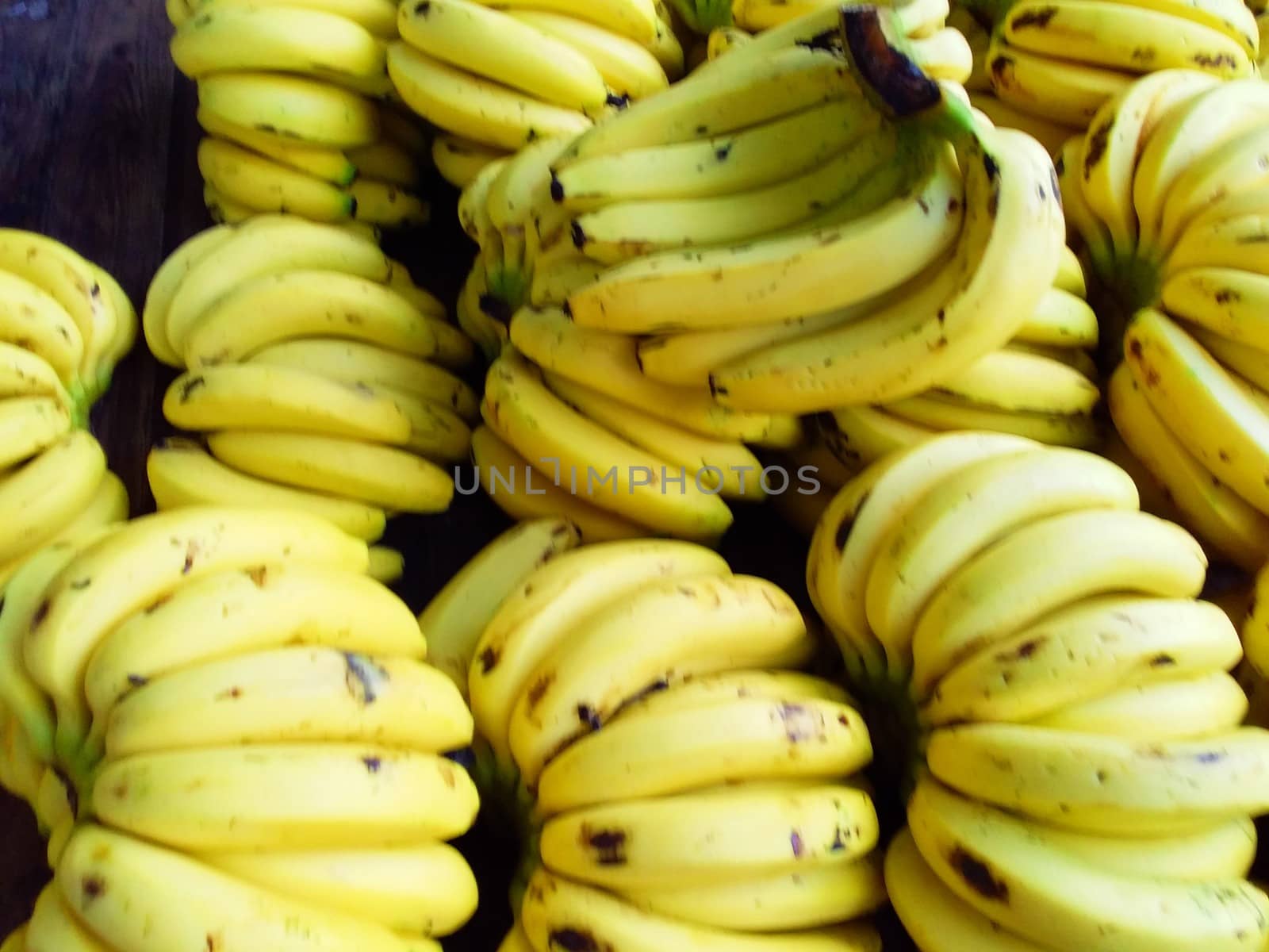 bananas for sale in the market