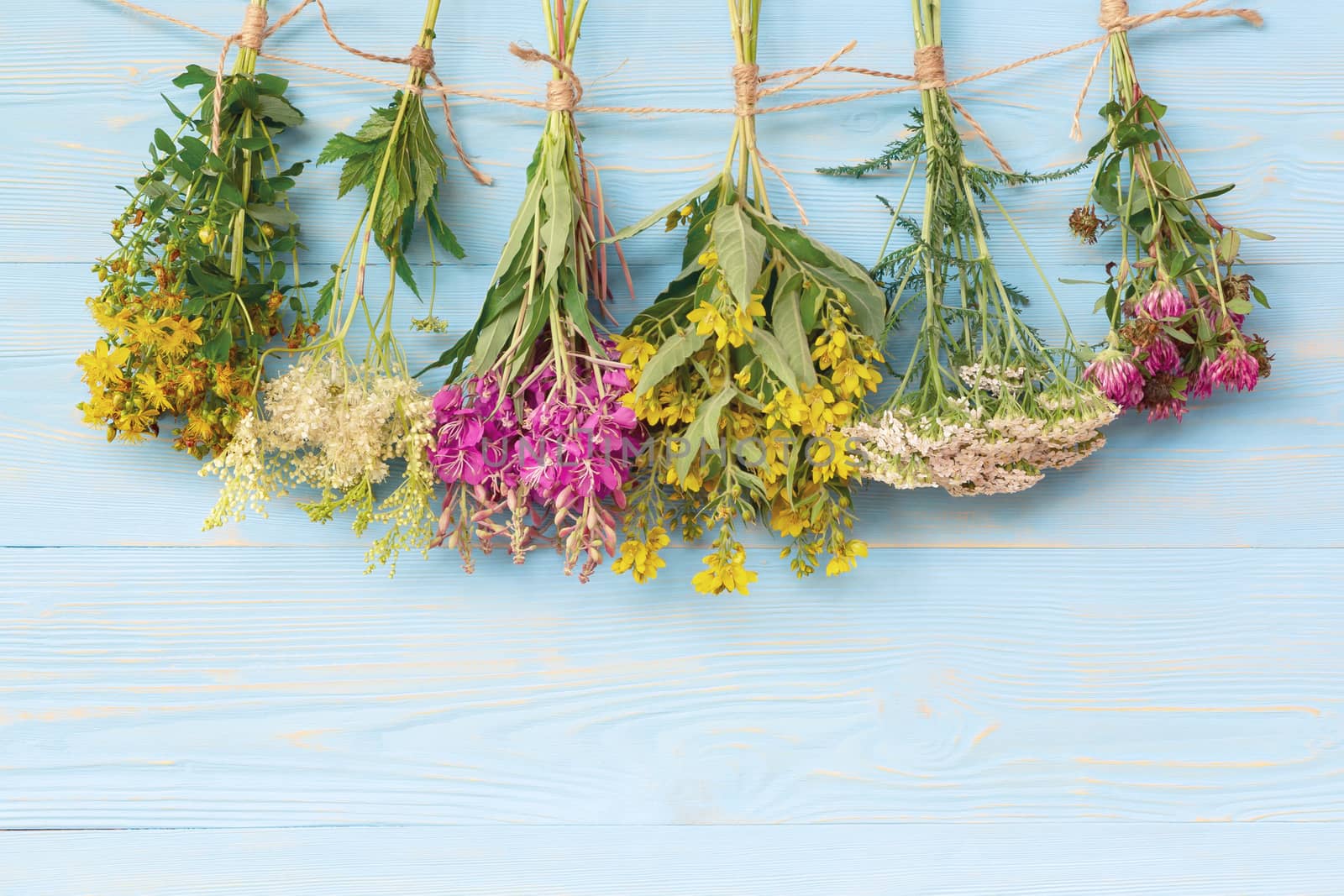 Bundles of medicinal herbs dried near a blue wooden wall, alternative medicine and herbal treatment concept, copy space, place for text, background.