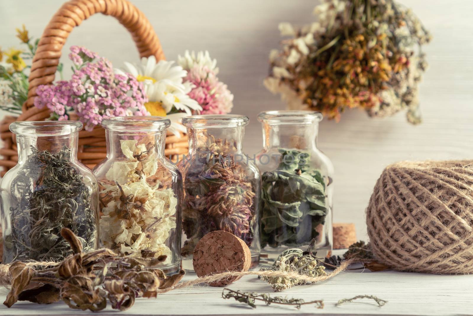 Drying and harvesting of medicinal herbs, homeopathy and alternative medicine concept by galsand