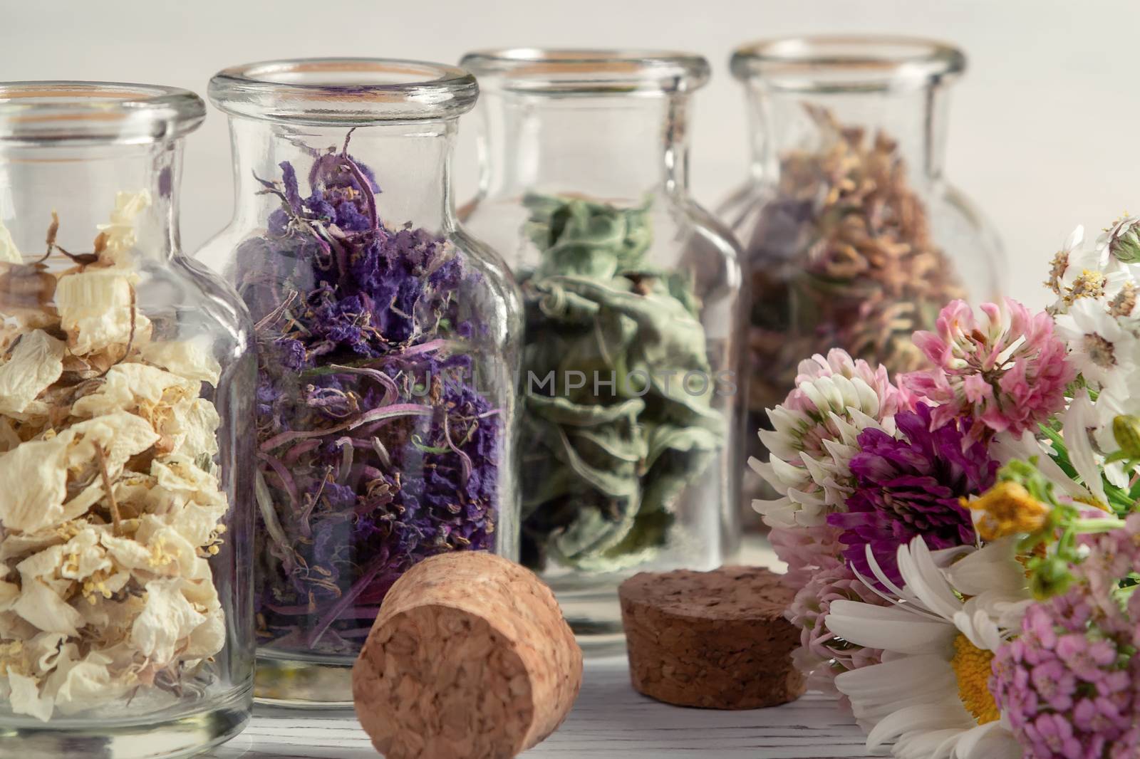 Drying and harvesting of medicinal herbs, homeopathy and alternative medicine concept.