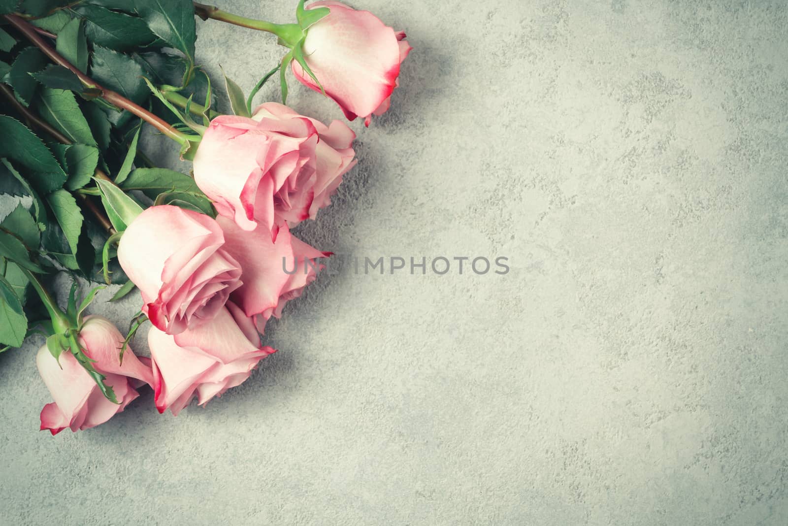 Flower arrangement - a bouquet of pink roses on a concrete surface, template for design or greeting card, place for text, copy space.