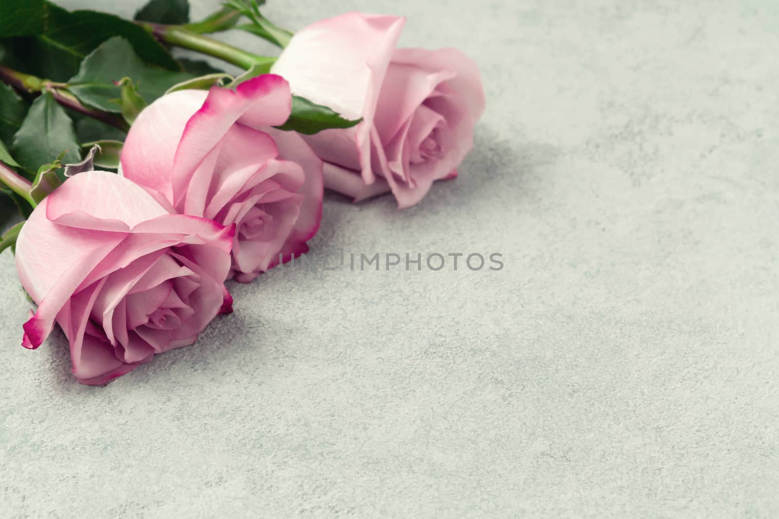 Flower arrangement - a bouquet of pink roses on a concrete surface, template for design or greeting card, place for text, copy space.