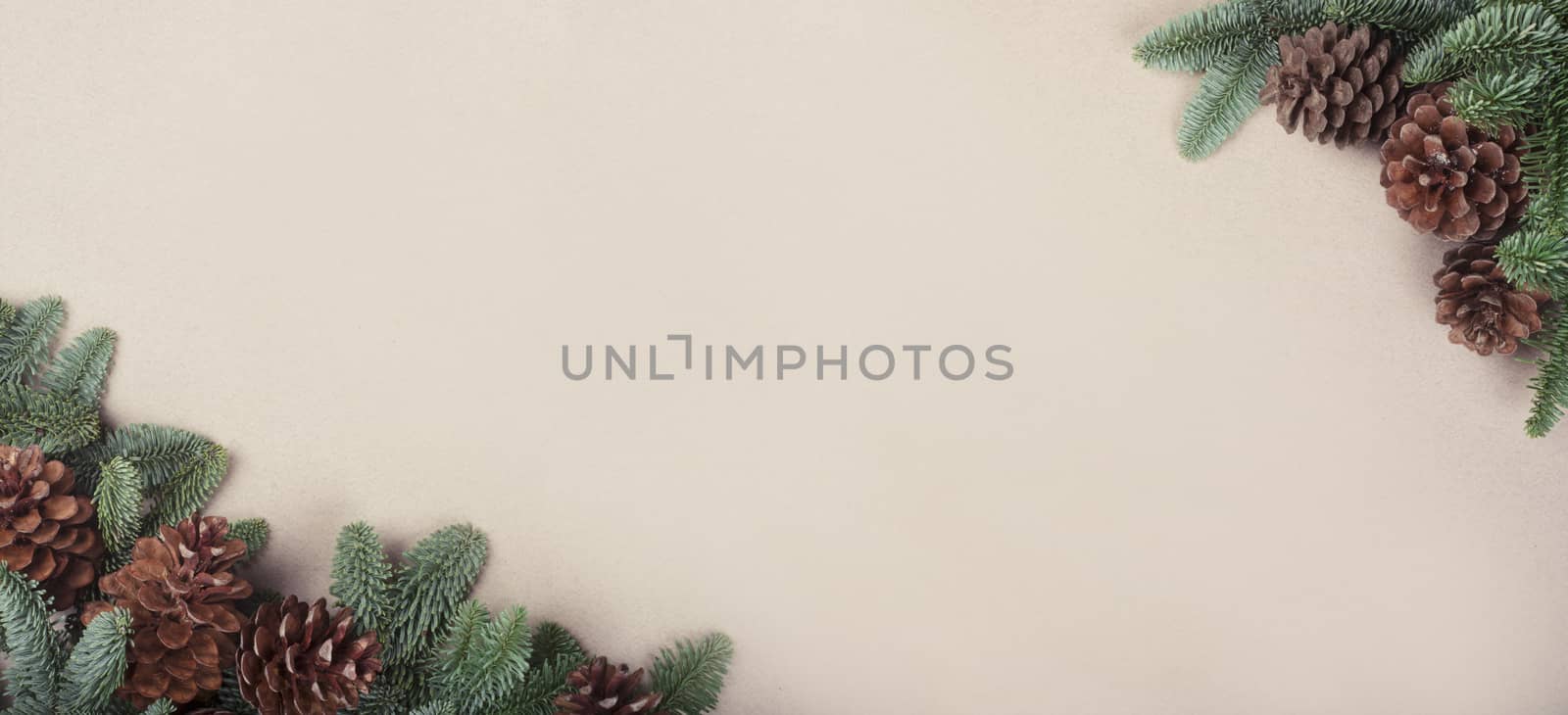 Christmas card banner light background with noble fir tree branches and pine cones border frame with copy space for text