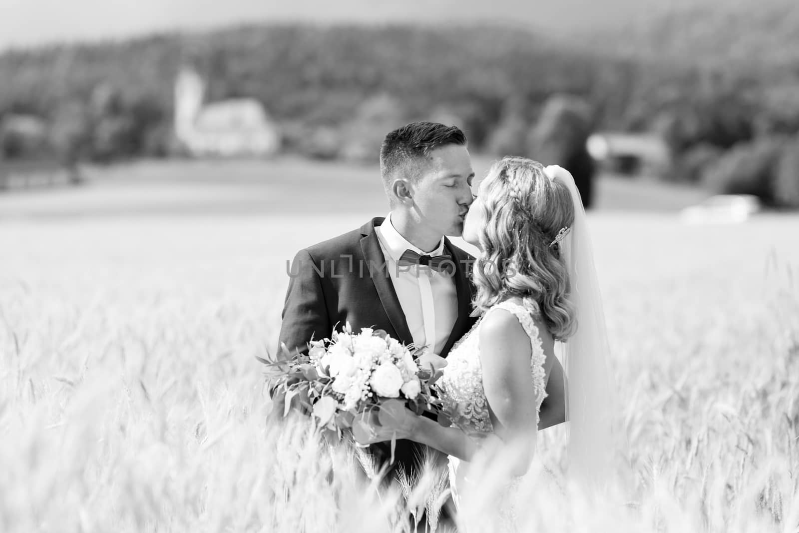 Bride and groom kissing and hugging tenderly in wheat field somewhere in countryside in Slovenian . Caucasian happy romantic young couple celebrating their marriage. Black and white photo.
