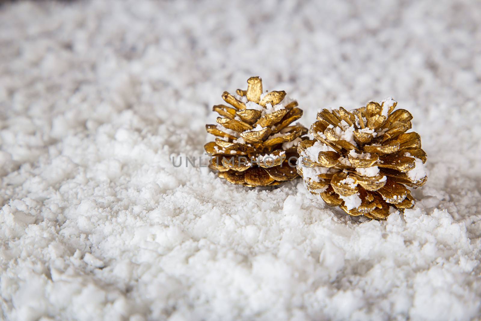 two small golden pinecone laying in the snow