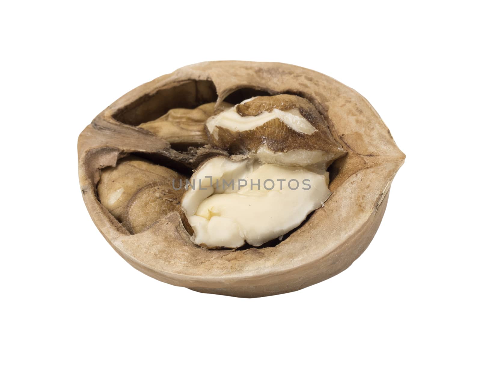 Walnut isolated. Nut kernel on white background. Close up view.