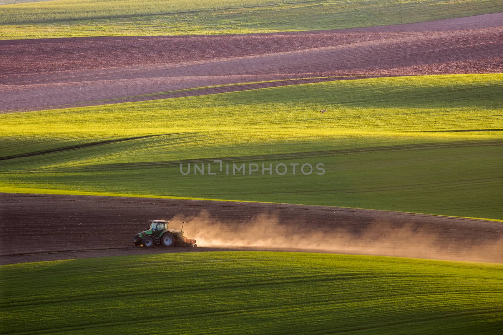 Sunset light over plowing tractor in the spring, South Moravia, Czech Republic