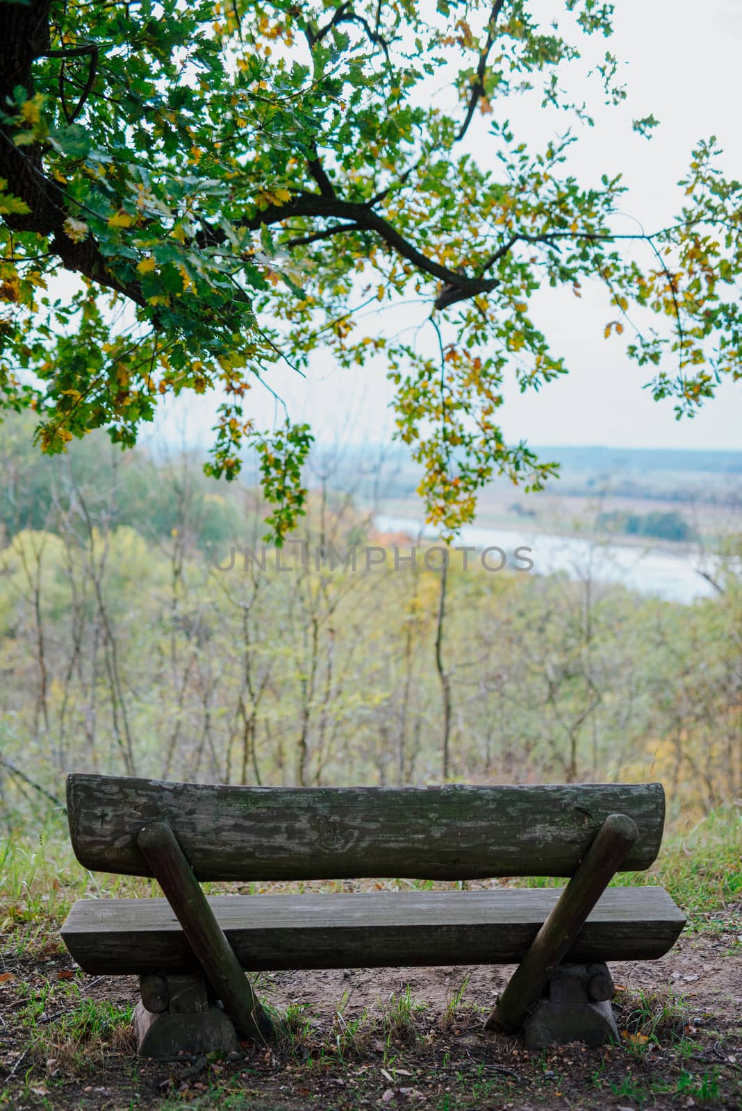 Bench in autumn park. Autumn landscape. Viewpoint