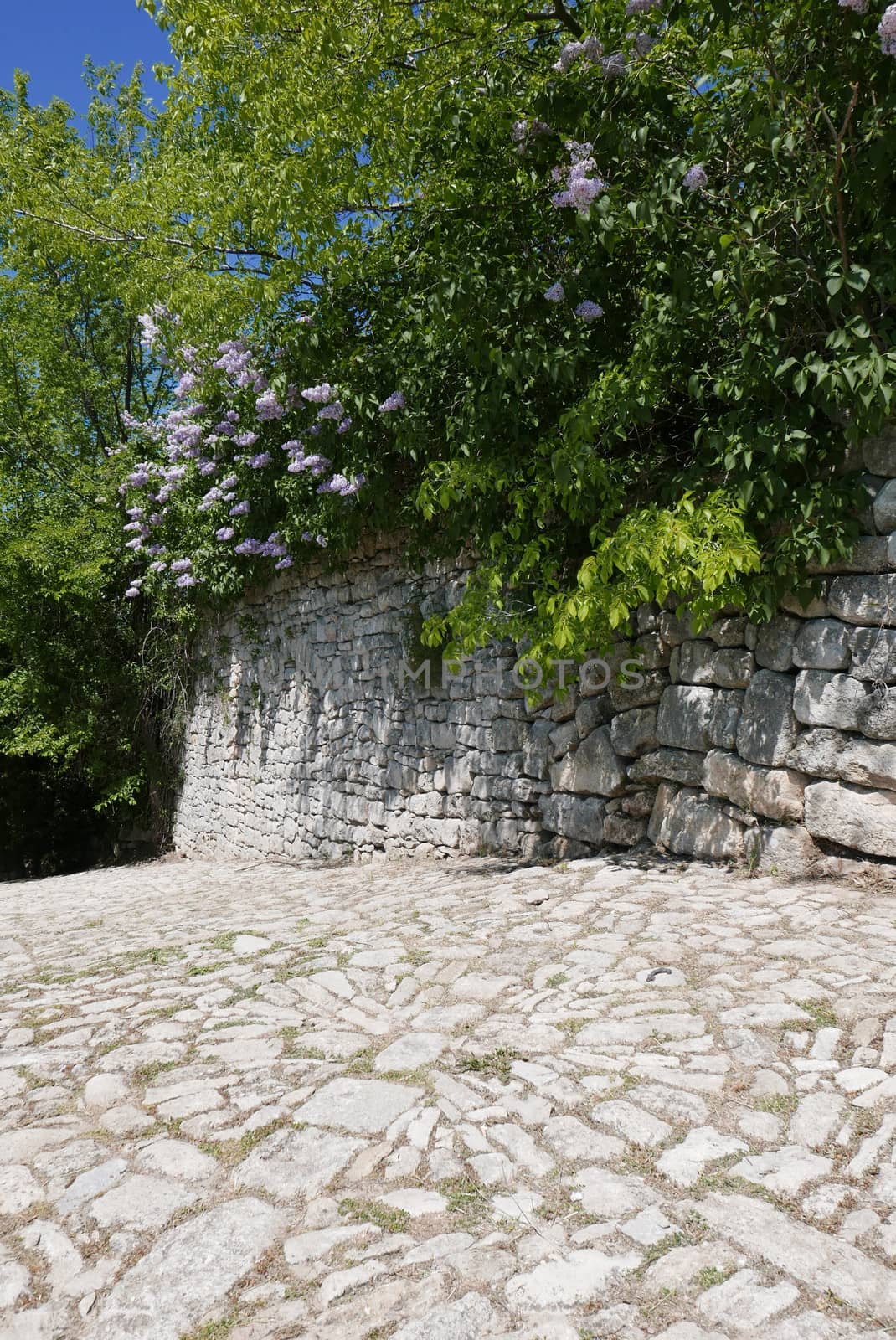Walk around Forcalquier in the Alpes de Haute Provence, France