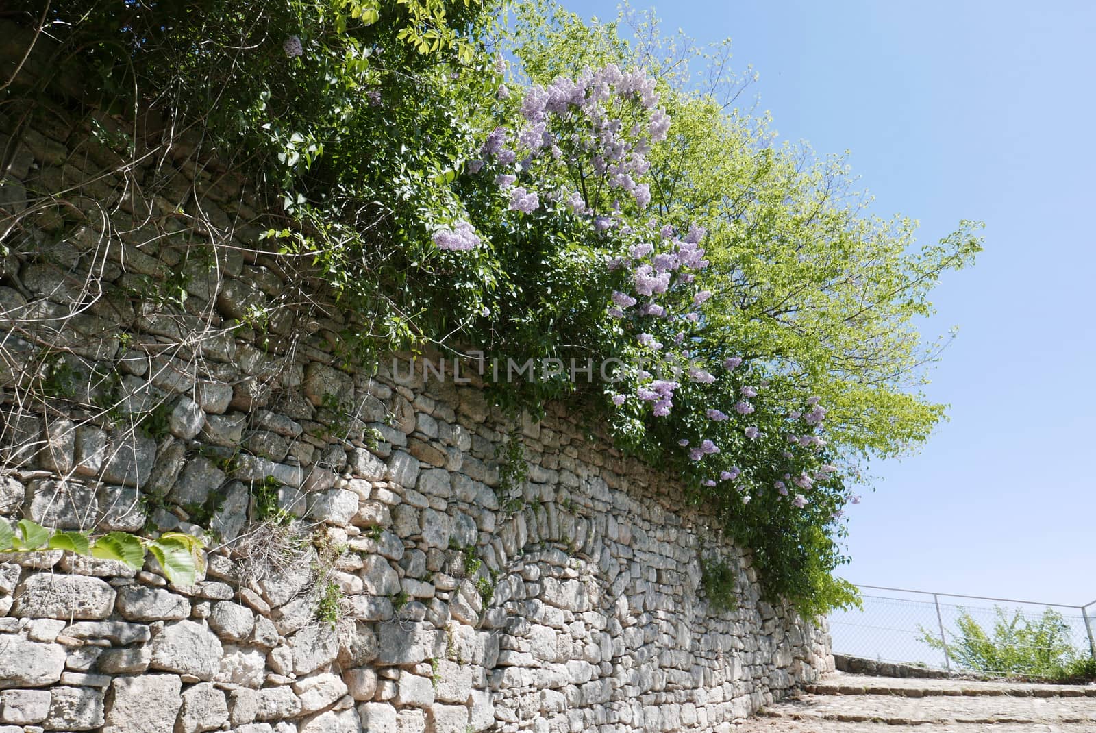 Walk around Forcalquier in the Alpes de Haute Provence, France