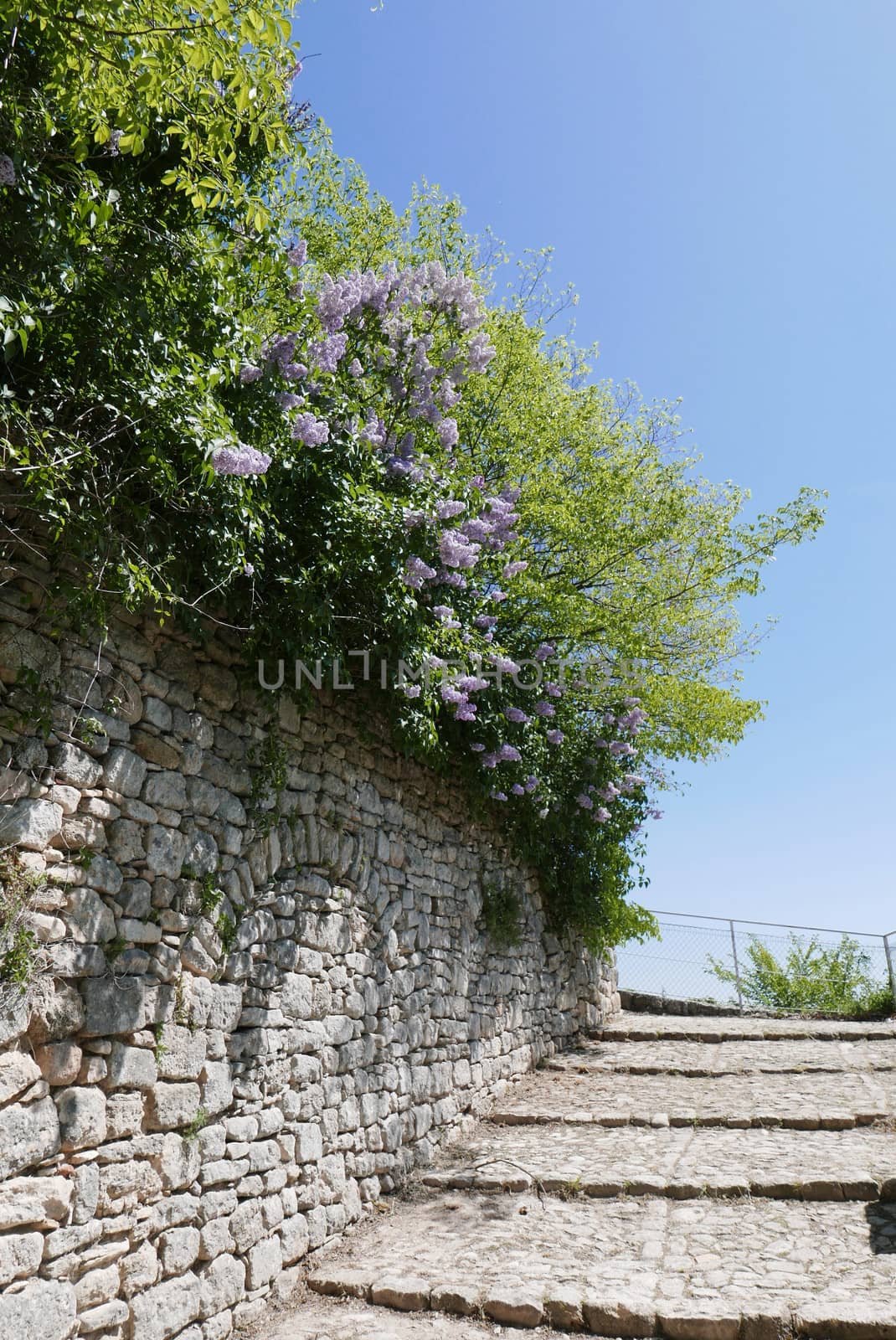 Walk around Forcalquier in the Alpes de Haute Provence, France