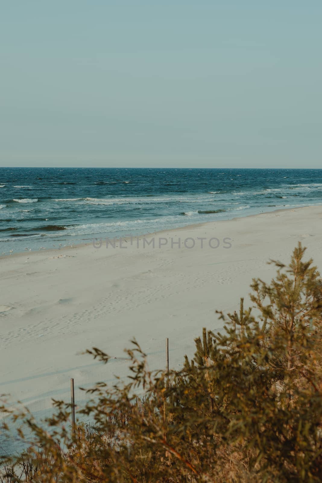 Sunset on the baltic sea with seagulls. Summer time. Golden hour.