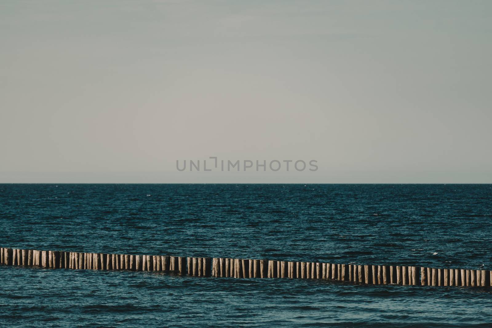 Sunset on the baltic sea with seagulls. Summer time. Golden hour.