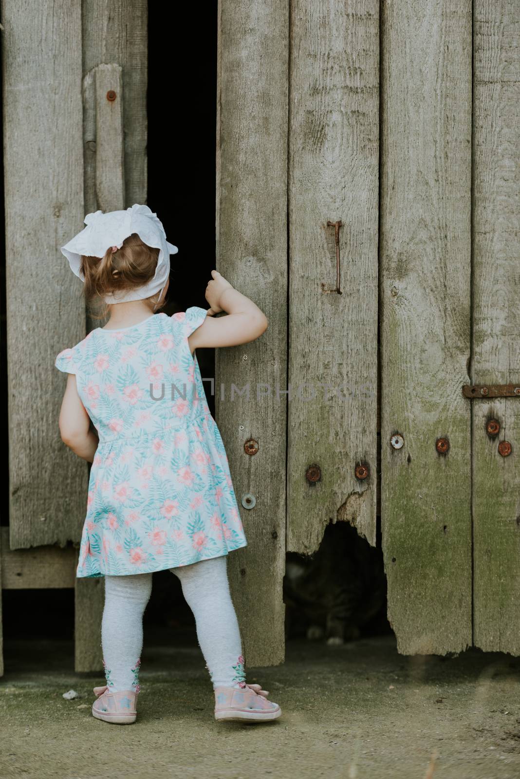 Curiuos child farmer playing in barn with cat in rustic poultry house in countryside farmyard farming lifestyle.