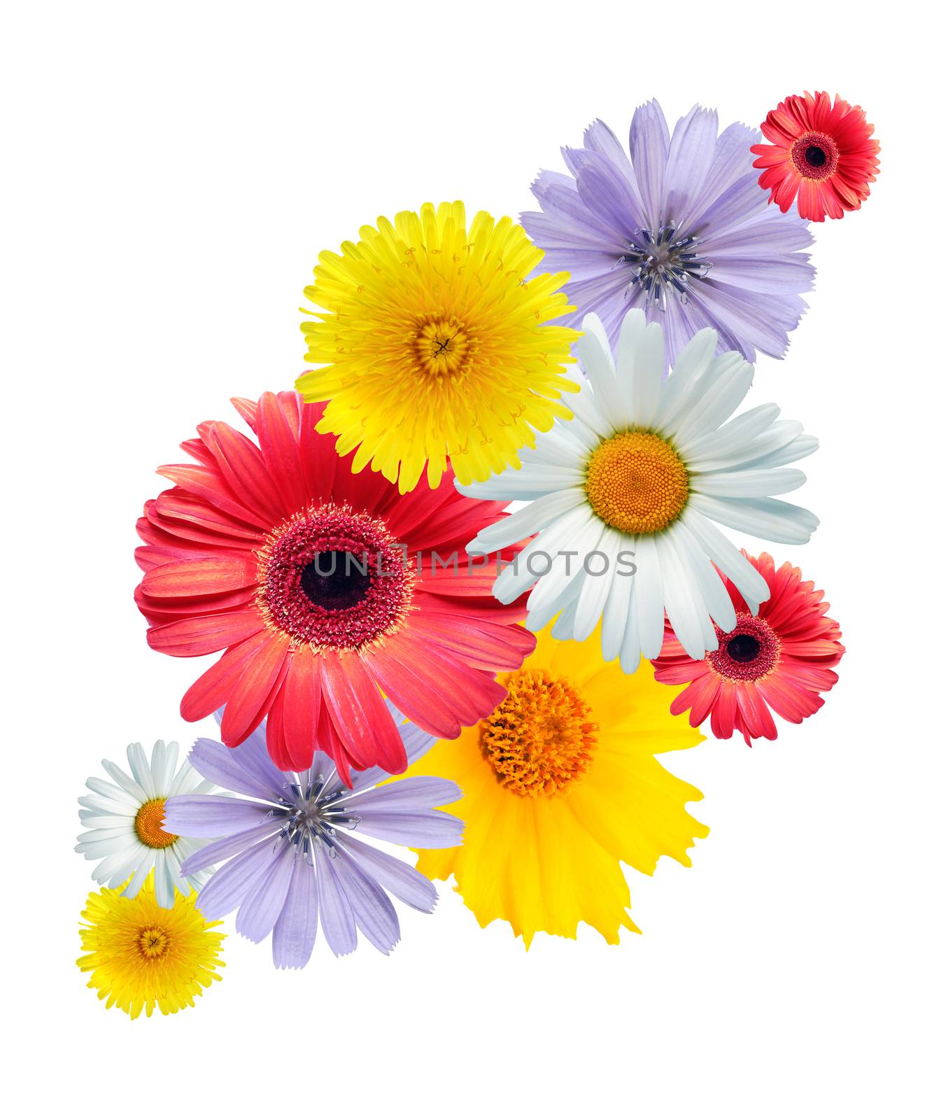 Nice vignette made from variety flowers on white background