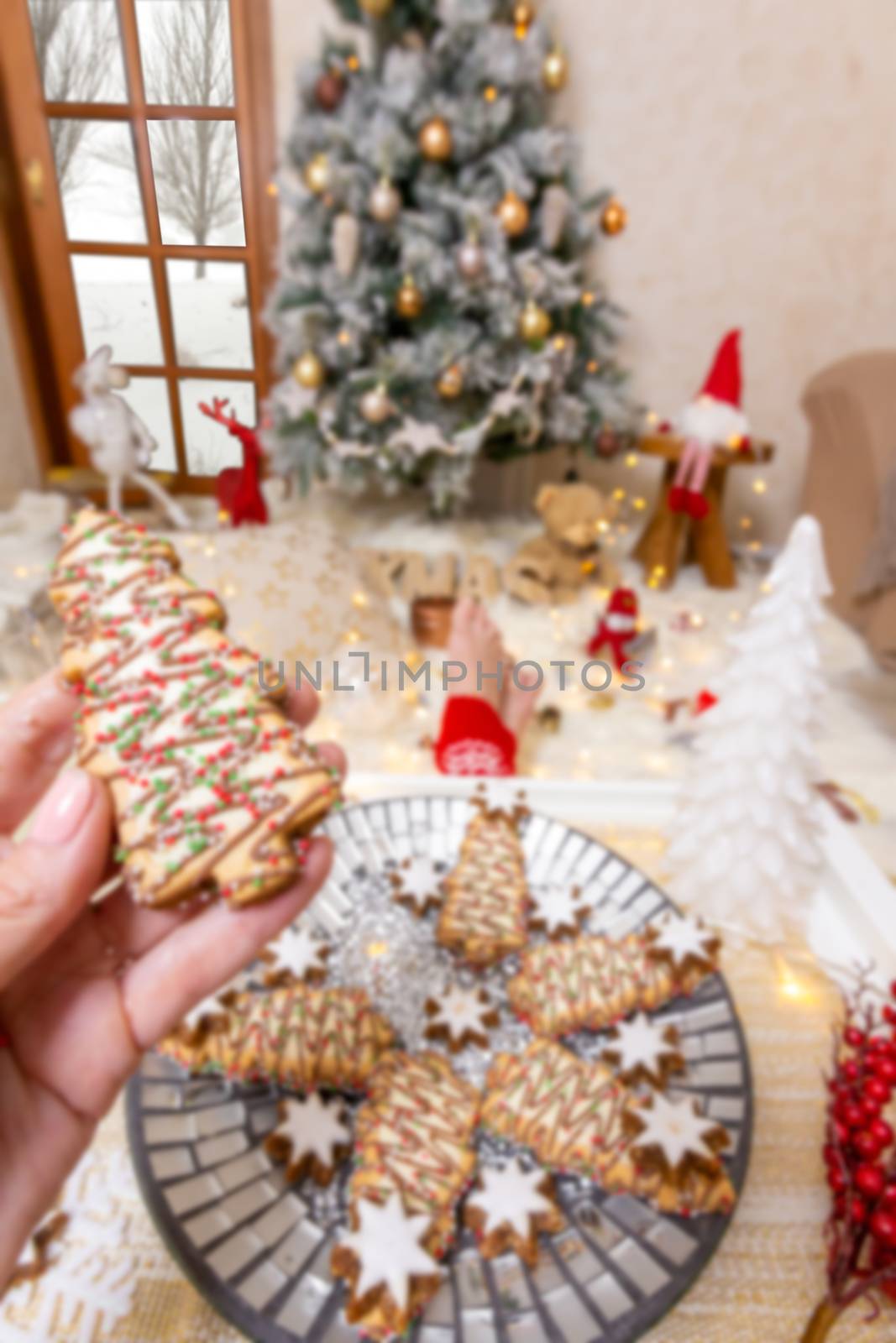 Decorated and iced Christmas tree biscuits or cookies with gingerbread stars in a festive home setting.