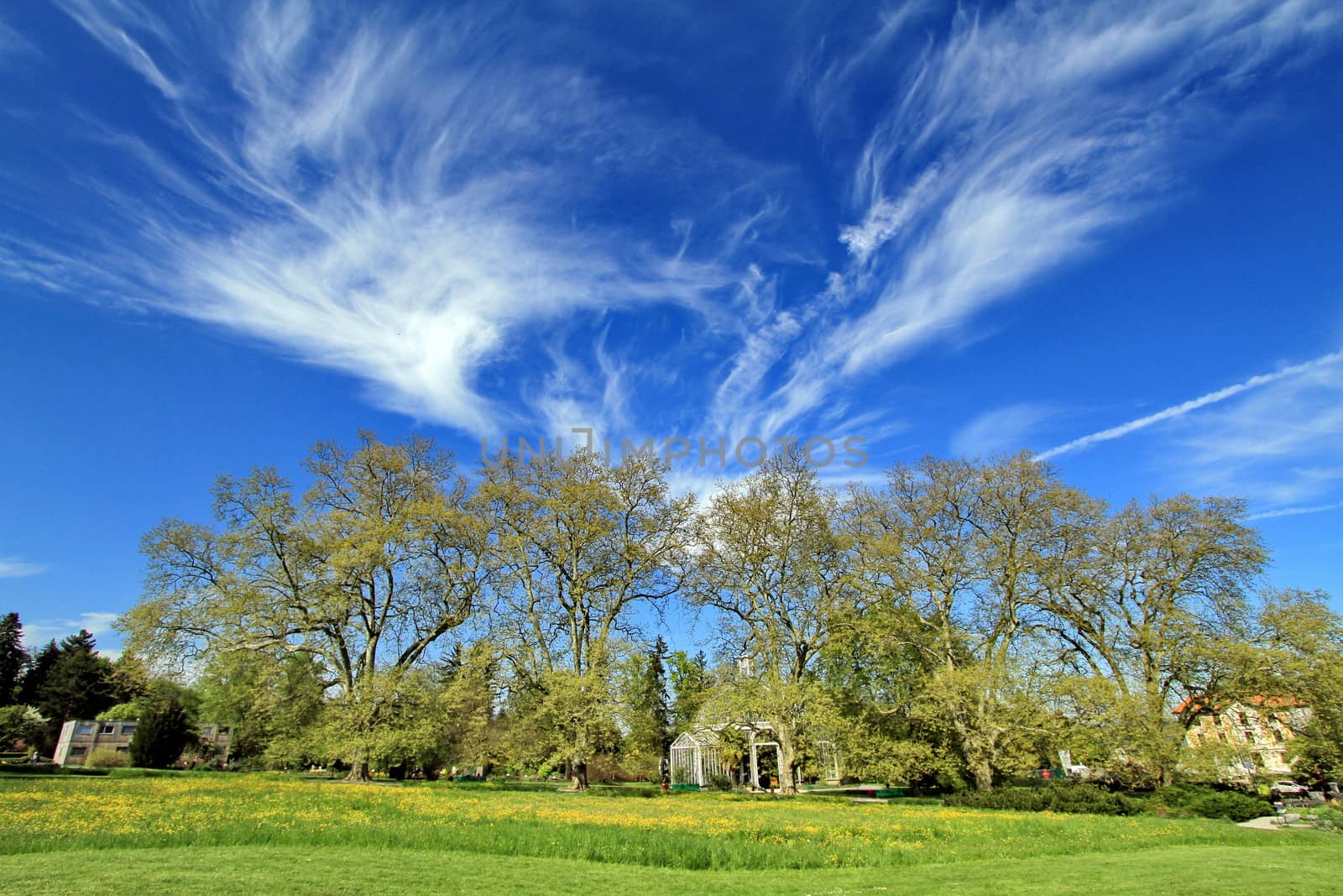 beautiful view of a garden in Geneva city in Switzerland and sky blue