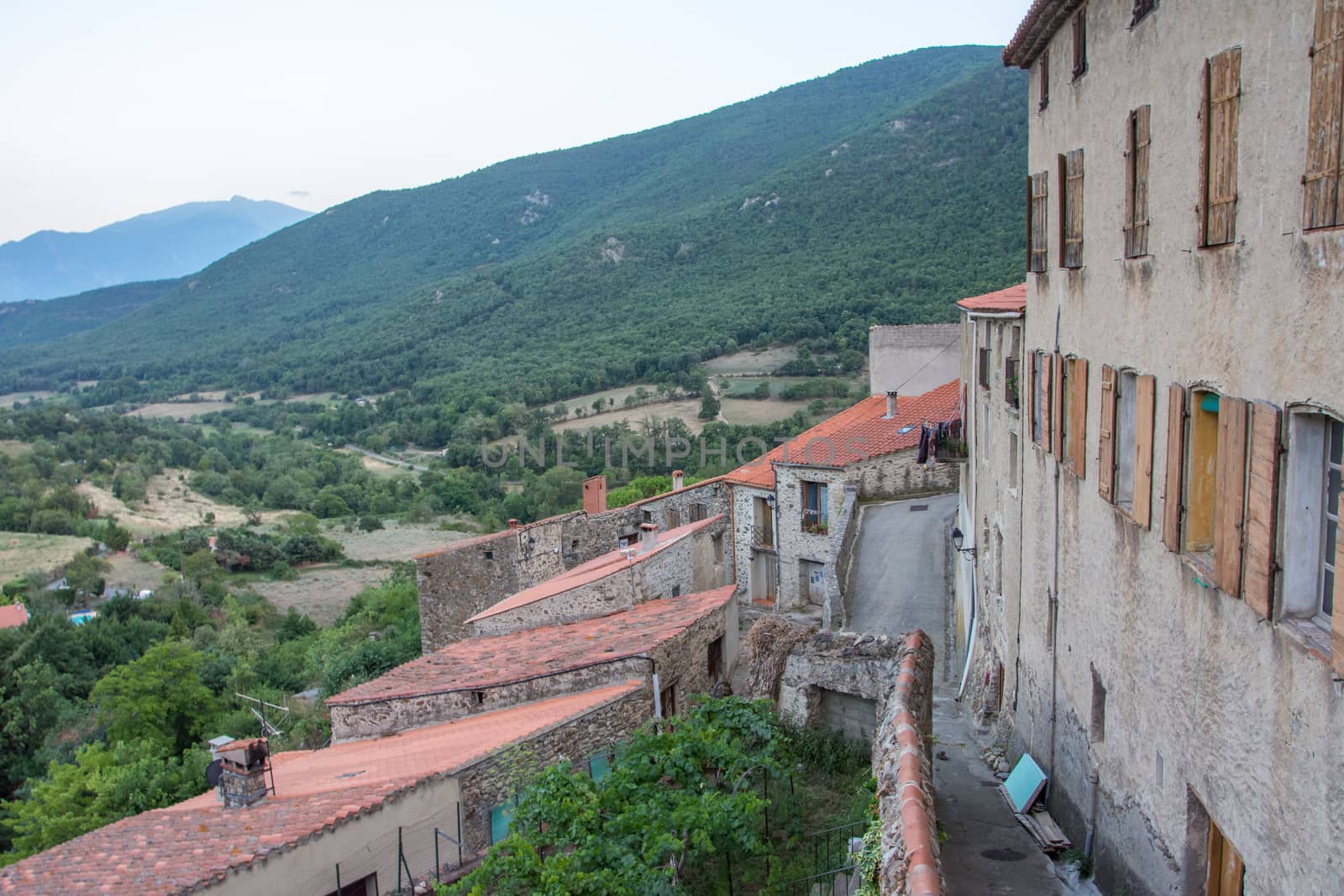 discovery of the eastern Pyrenes, its fauna and flora, region of France