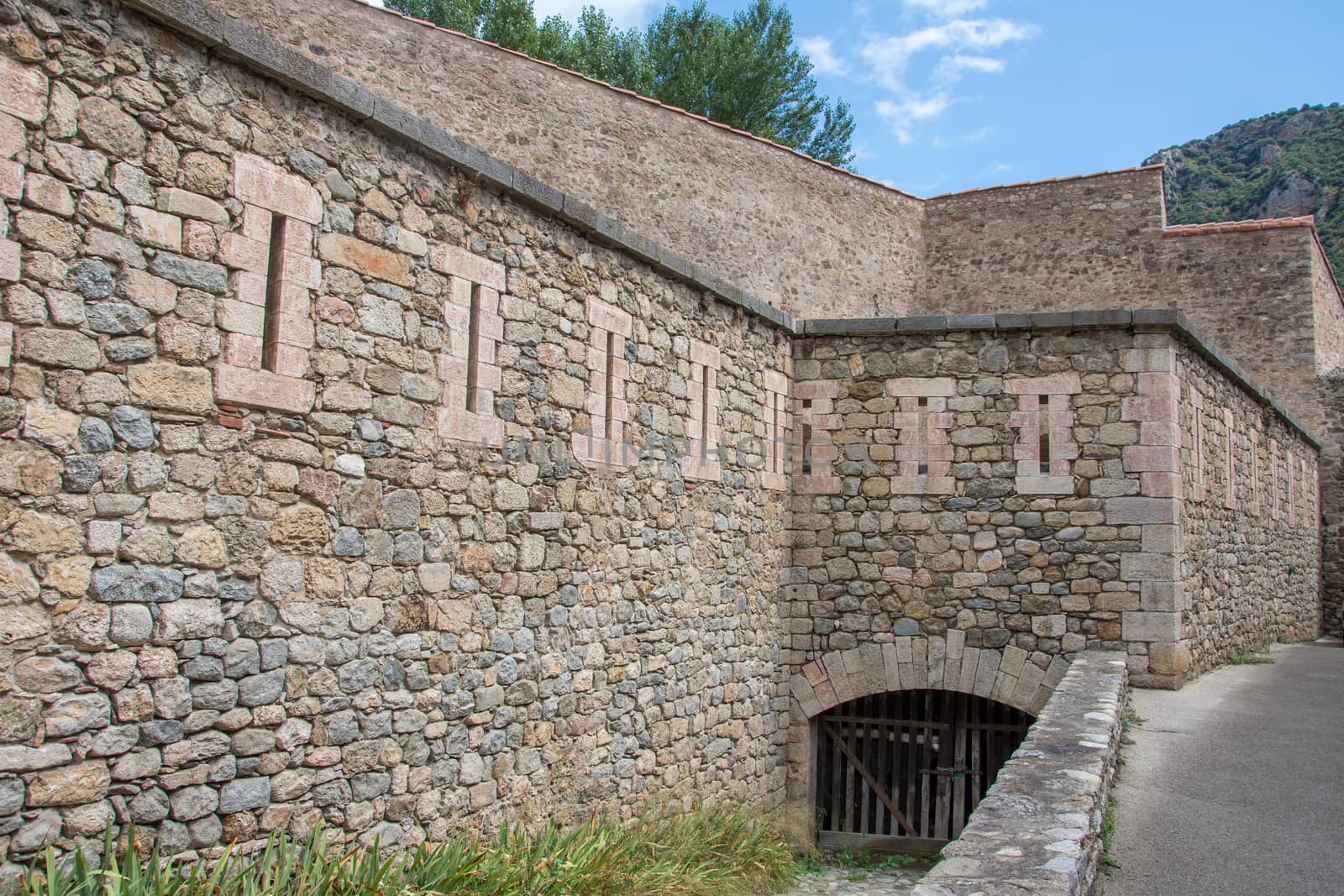 discovery of the eastern Pyrenes, its fauna and flora, region of France