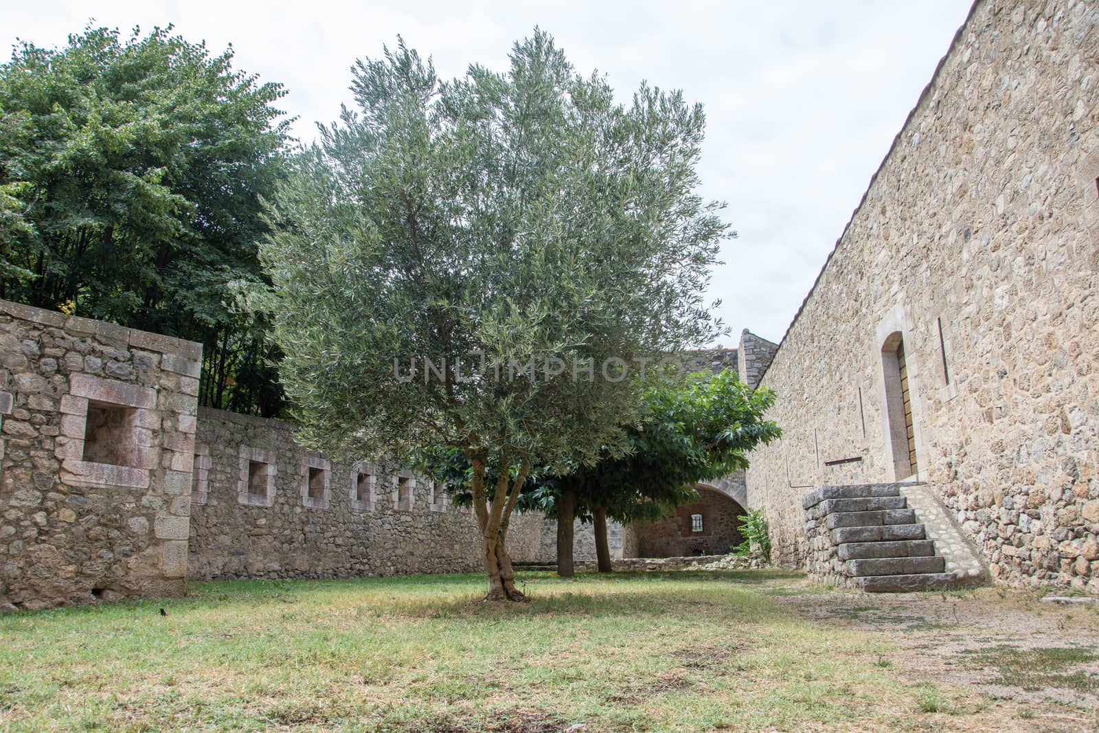 discovery of the eastern Pyrenes, its fauna and flora, region of France