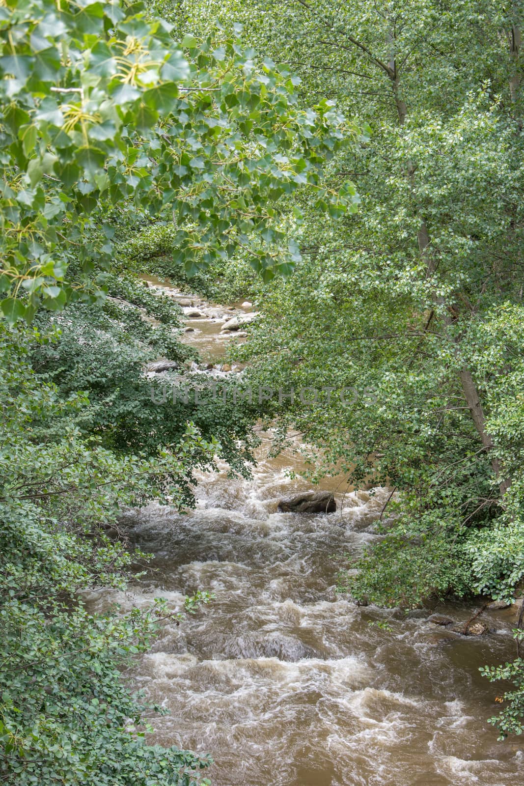 discovery of the eastern Pyrenes, its fauna and flora, region of France